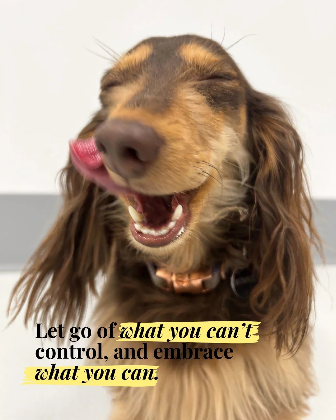 YOU are an amazing human. Thank you for being you. Have an amazing day! ❤️#APPFamily