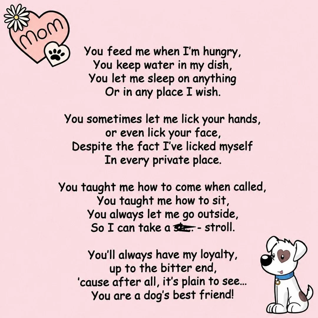 Happy National Dog Mom Day to all the amazing dog moms in our Puppy Pals family! 🐾💕

#DogDaycare #DogTraining #APPFamily 
https://www.airdriepuppypals.com