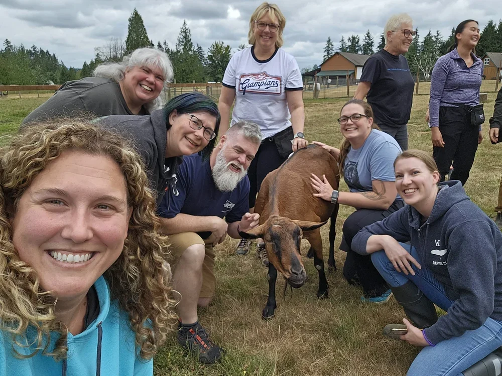 What Training Donkeys Taught Me About Dog Training