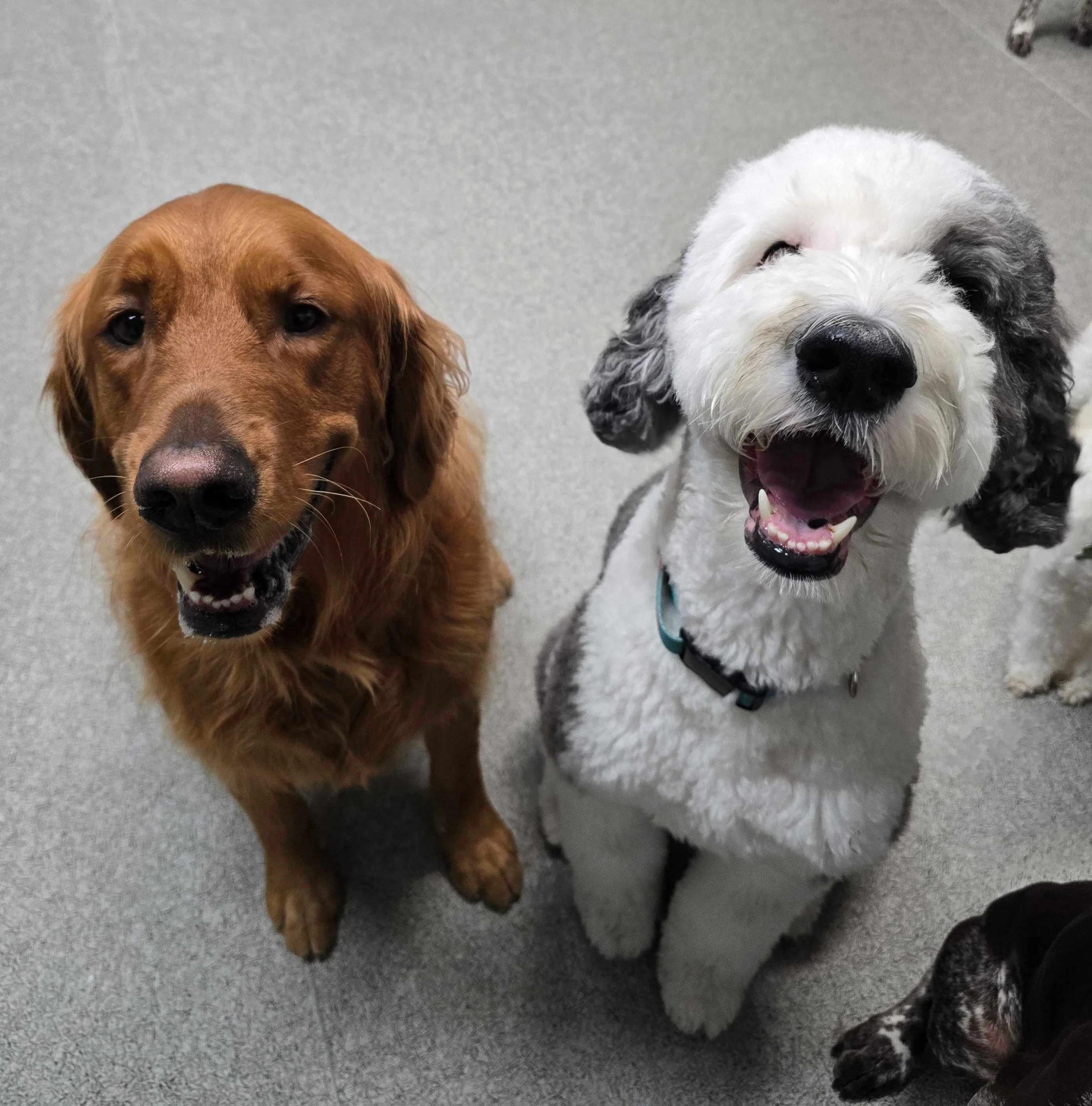 Daycare (2).jpg