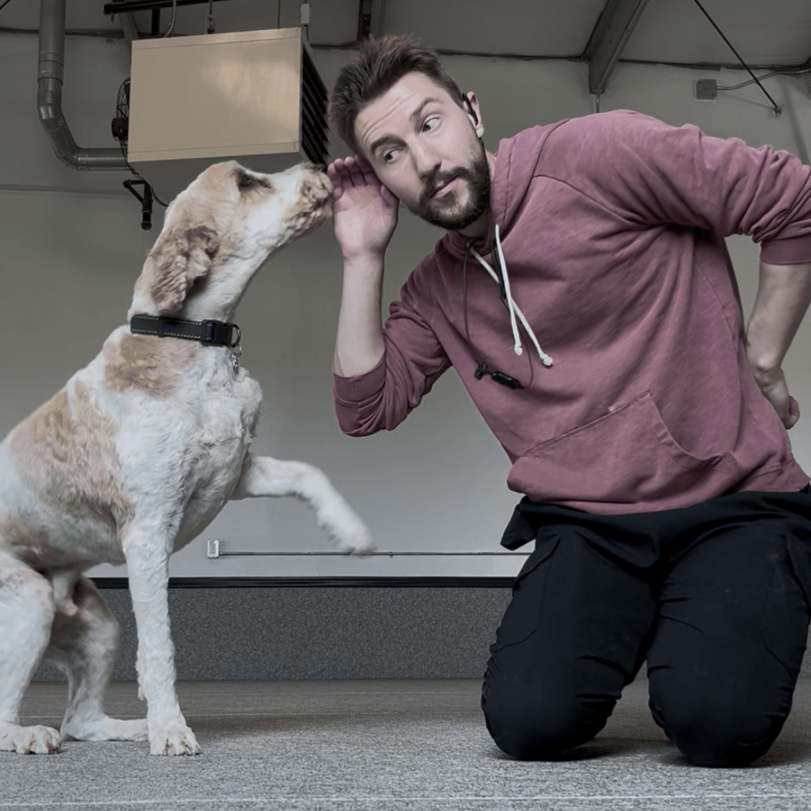Dog Daycare (1).png
