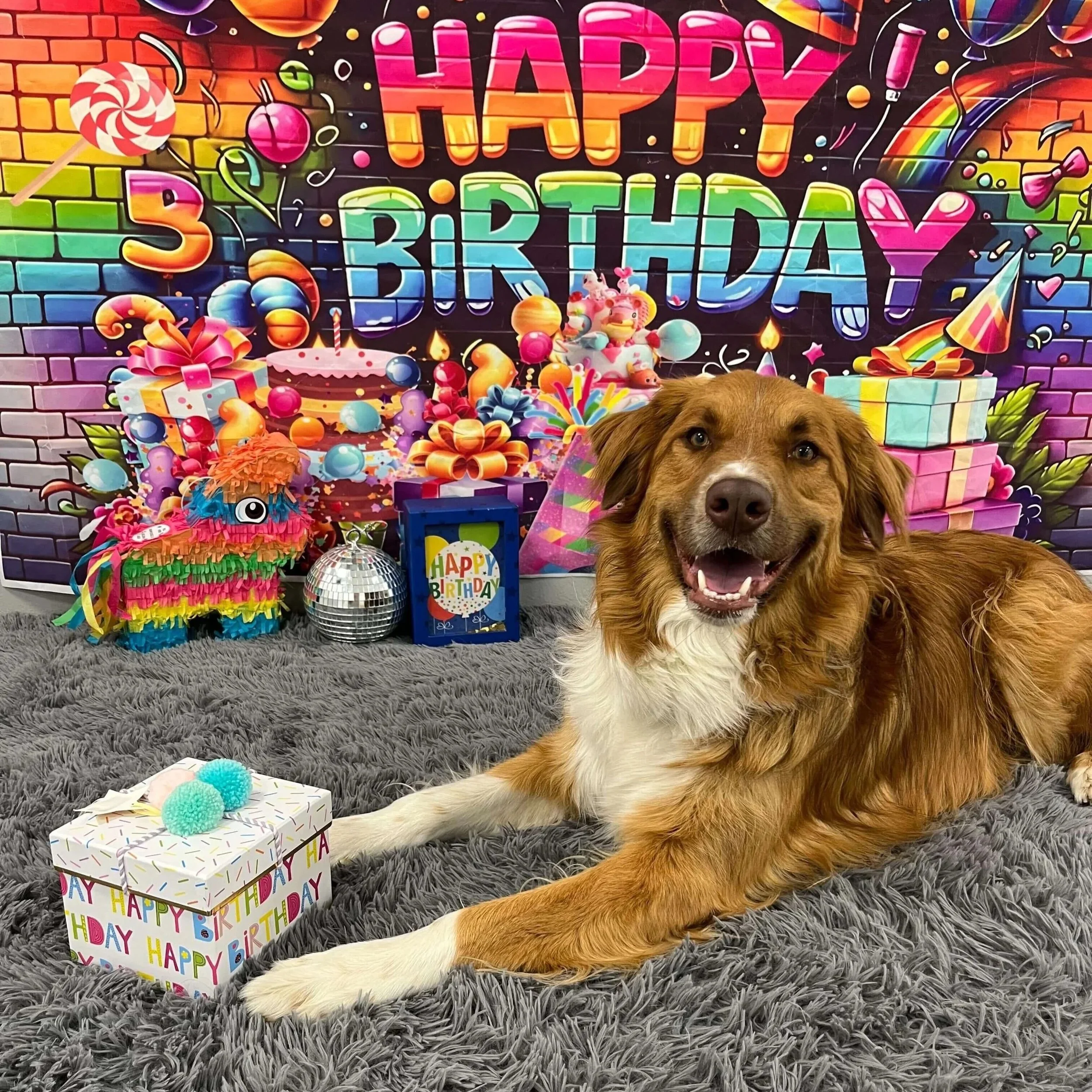 Daycare (8).jpg