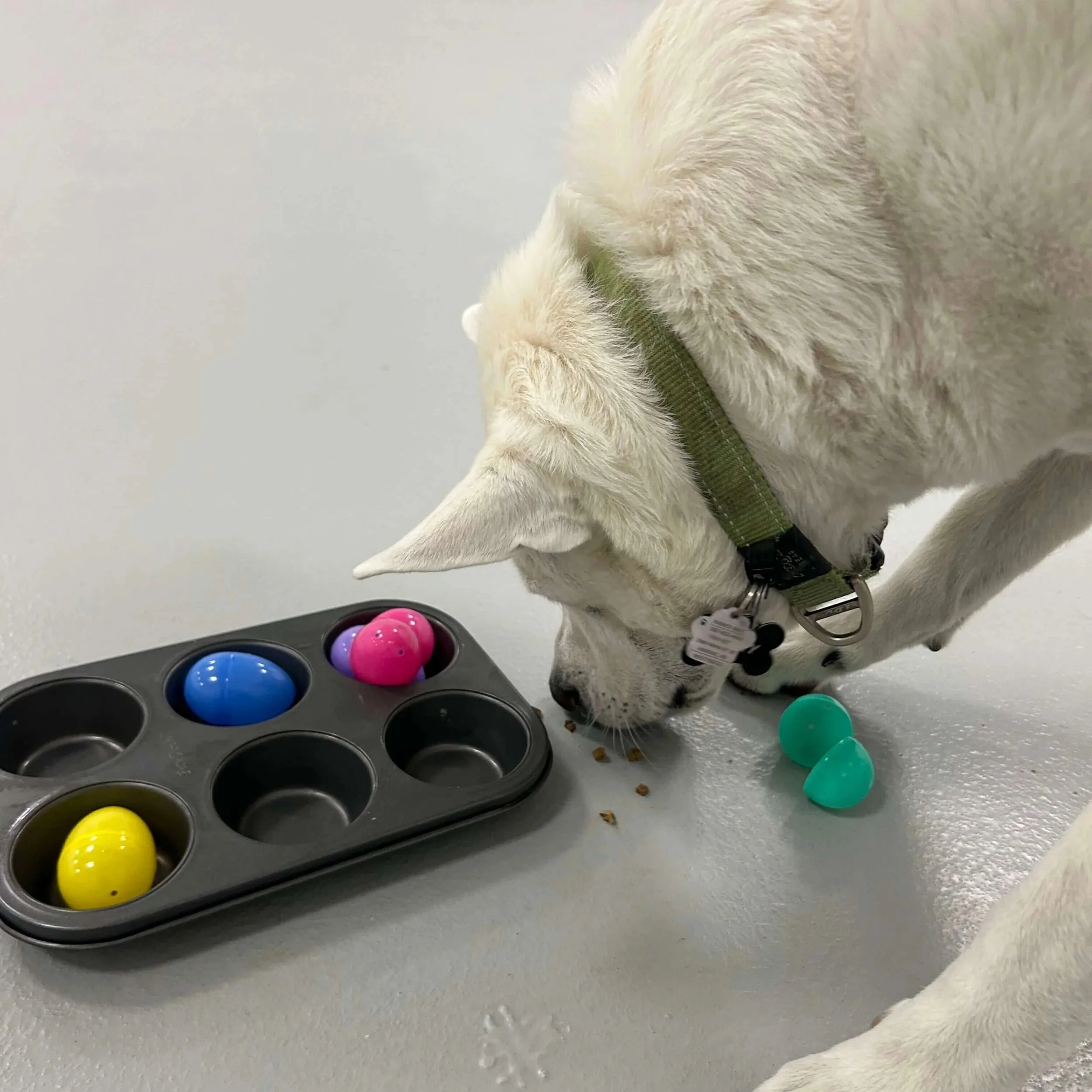 Daycare (9).jpg