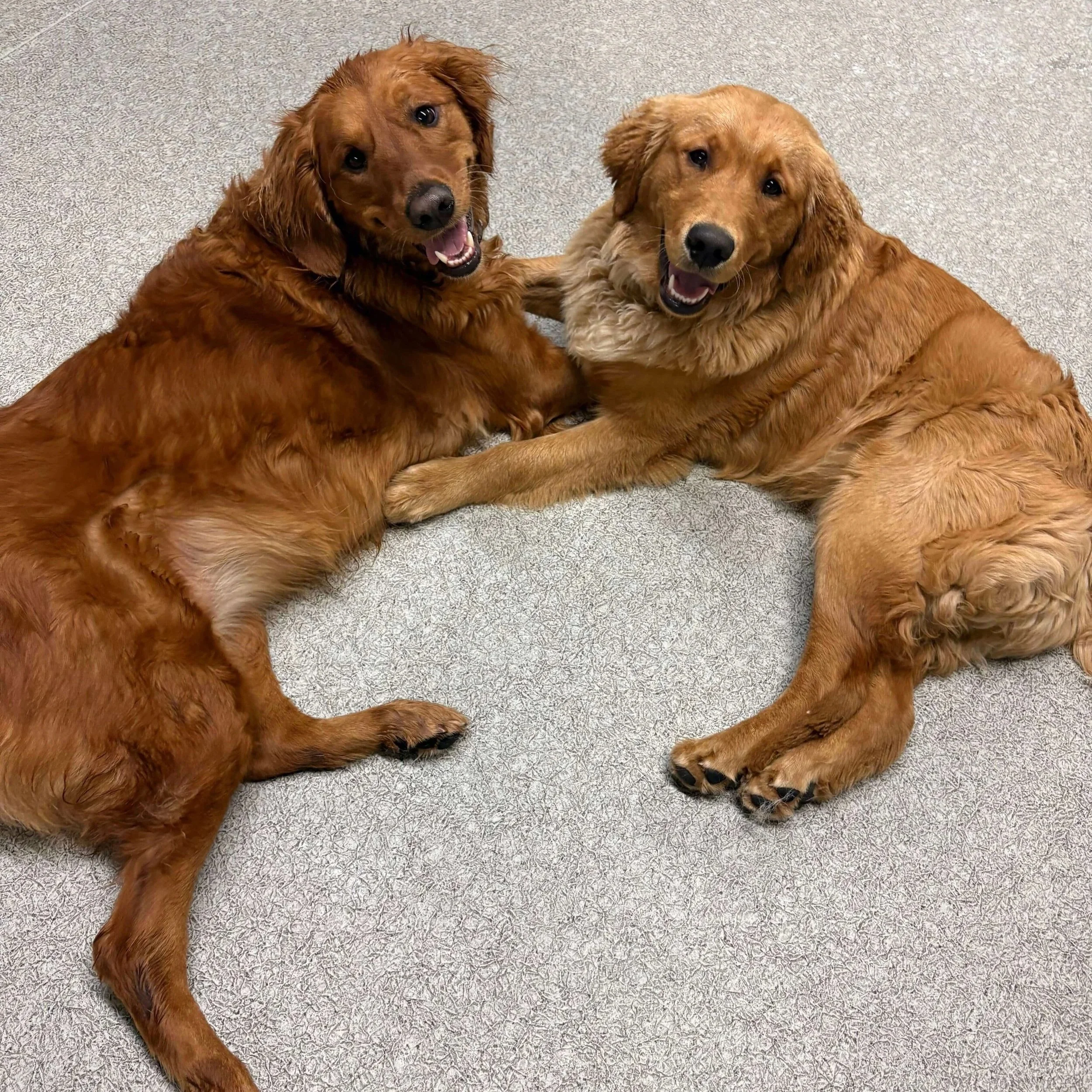 Daycare (6).jpg