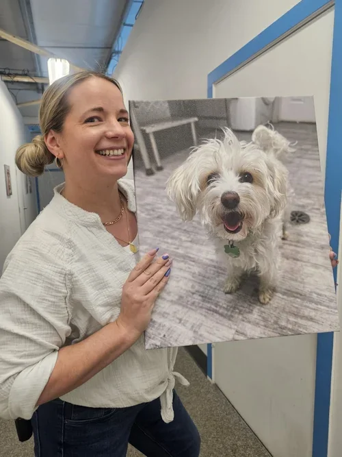 dog-daycare-team-airdrie-shannon.webp