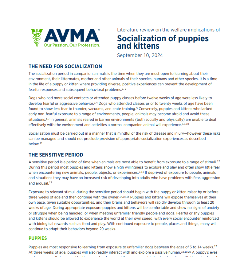 Title page of a literature review document on animal socialization, focusing on puppies and kittens, with AVMA logo and date September 10, 2024.