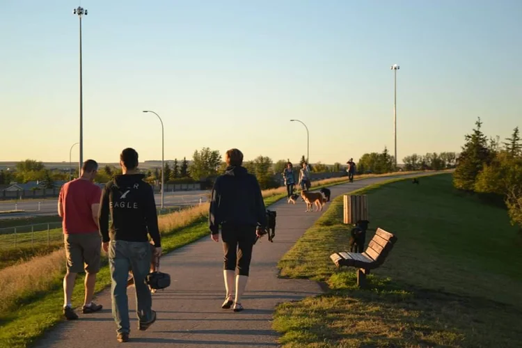 Dog park in Airdrie, Alberta