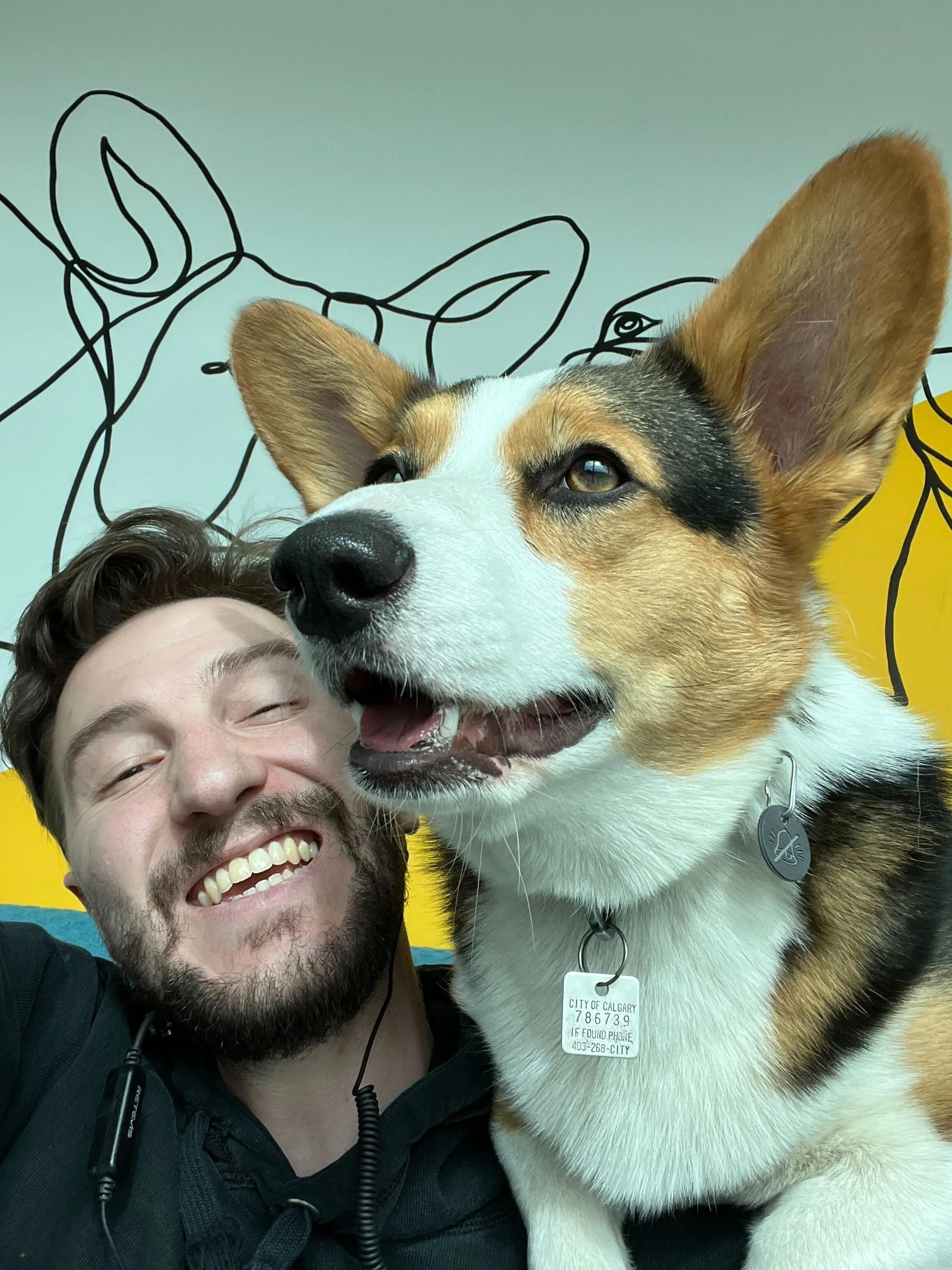A man smiling happily as he takes a selfie with a happy, attentive dog with large ears and a black and white collar, against a colorful background with abstract line art.