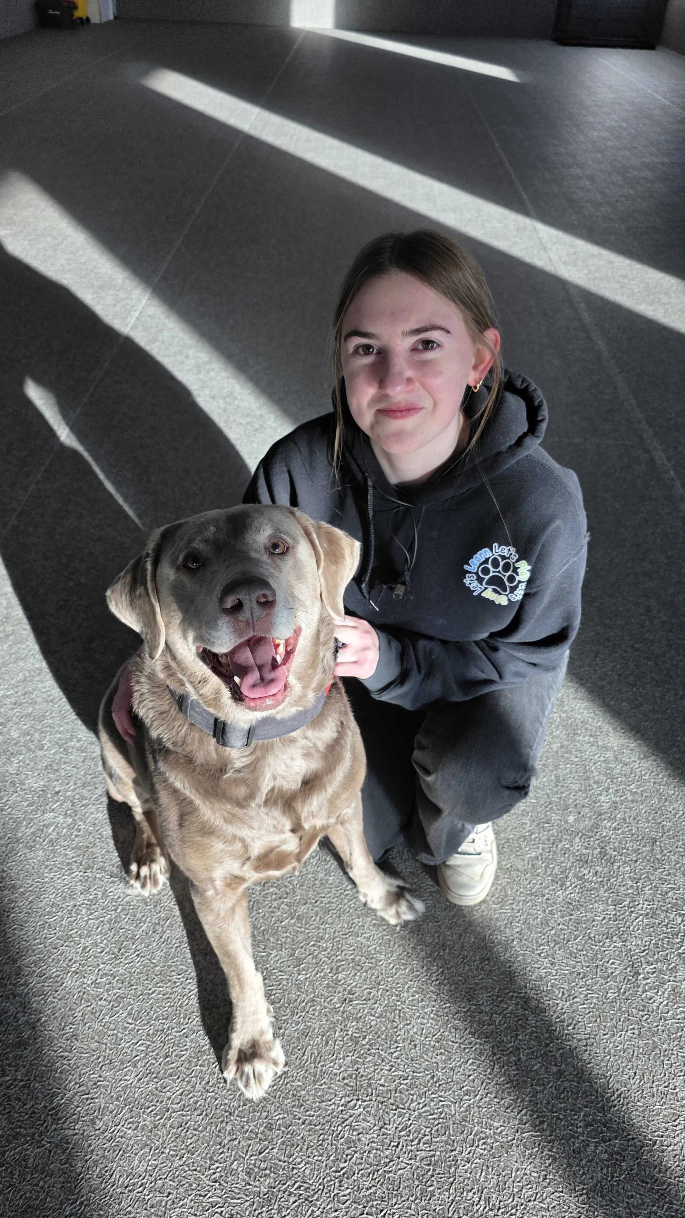 A young woman kneeling on the floor next to a happy Labrador retriever with a collar. Bright sunlight casts shadows on the gray carpeted floor inside a room.