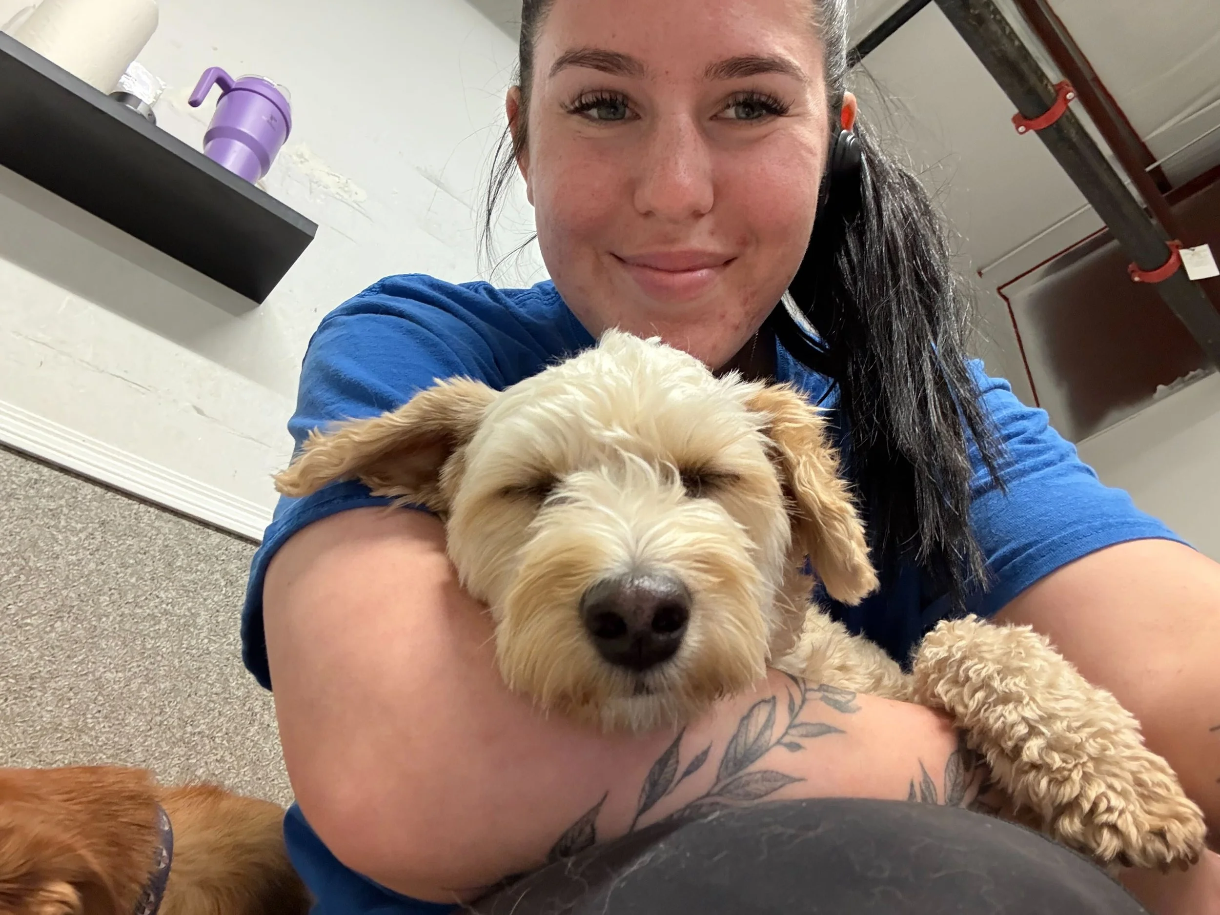 A smiling woman holding a small, fluffy beige dog with closed eyes. The woman is wearing a blue shirt and has dark hair. The setting appears to be indoors, with a black shelf and a purple water bottle in the background.