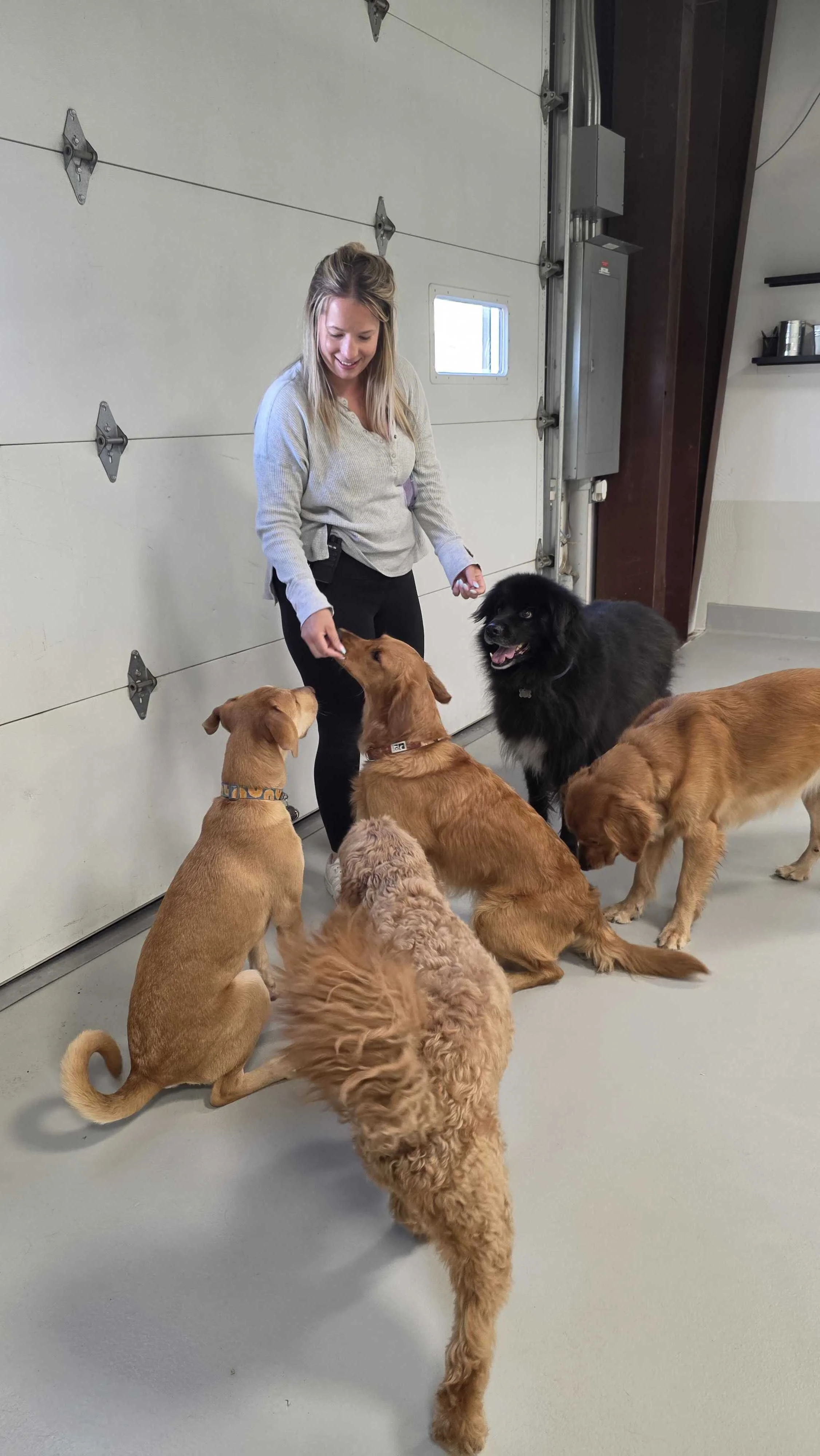A woman in a gray sweater interacting with five dogs of different breeds inside a garage in Airdrie, Alberta