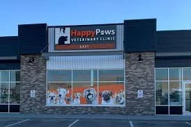 The image shows the exterior of a veterinary clinic named Happy Paws Veterinary Clinic East, with a large sign on the building. There are cartoon images of dogs and cats on the glass doors.