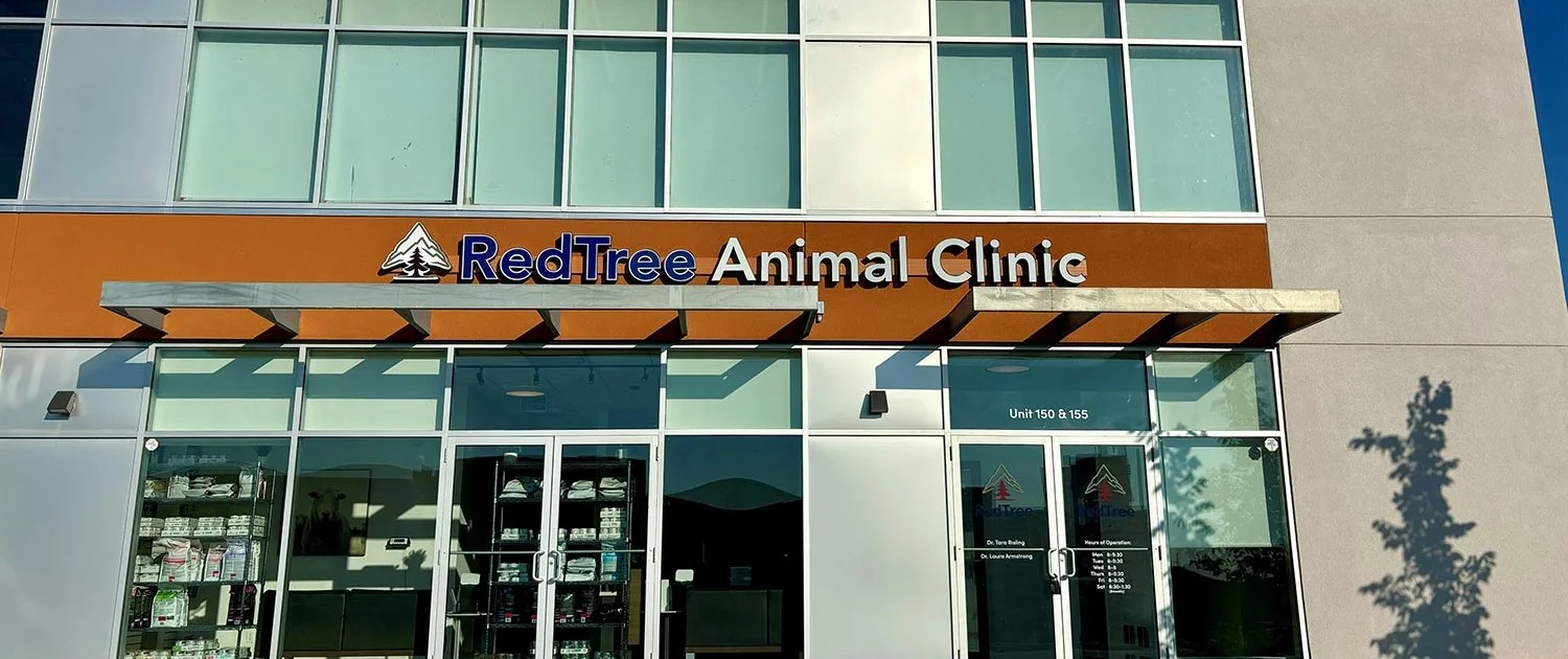 Exterior view of Red Tree Animal Clinic with glass doors, windows, and sign displaying clinic name and operating hours.