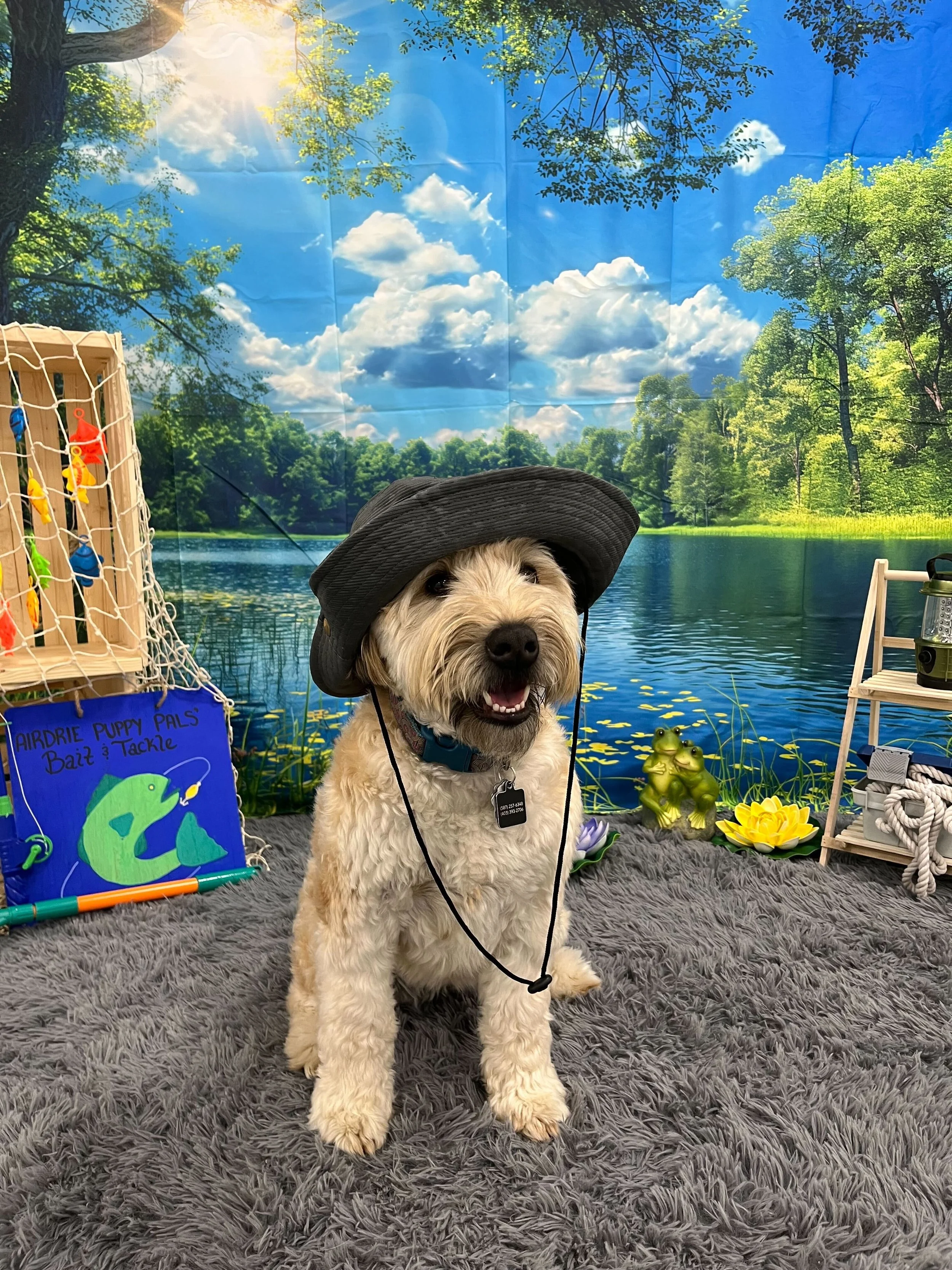 Dog dressed up in a fishing hat for themed photo day at Airdrie Puppy Pals dog daycare.
