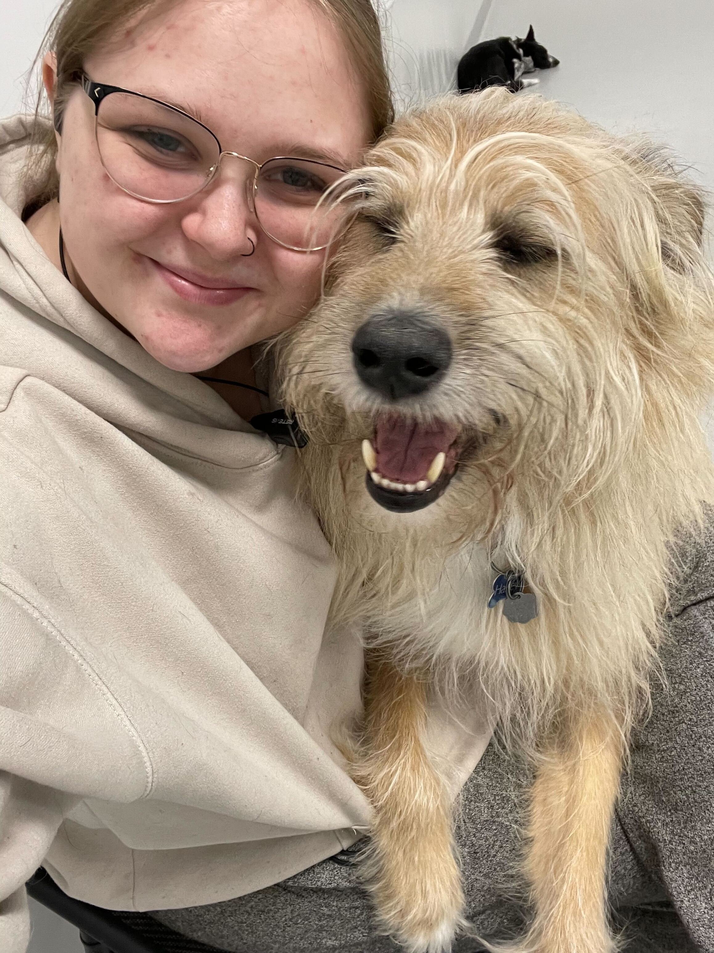 A woman with glasses and a nose ring smiling and hugging a happy, light-colored, scruffy dog with closed eyes and an open mouth. A black and white cat is resting on a white surface in the background at Doggy Daycare in Airdrie, Alberta.