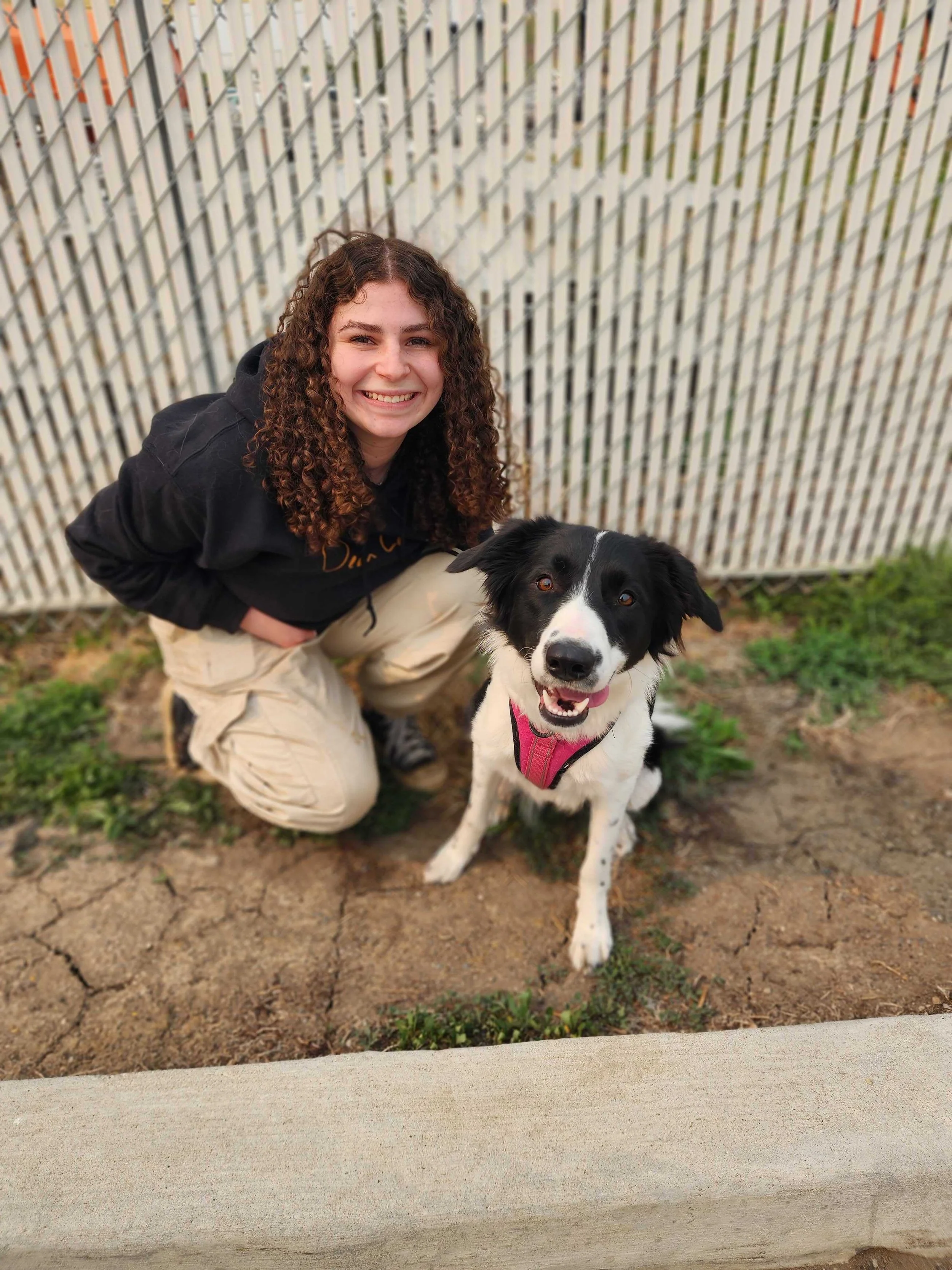A young woman with curly brown hair smiling, crouching next to a black and white dog wearing a pink harness, in front of a white picket fence on a dirt ground with some grass at Airdrie Puppy Pals.