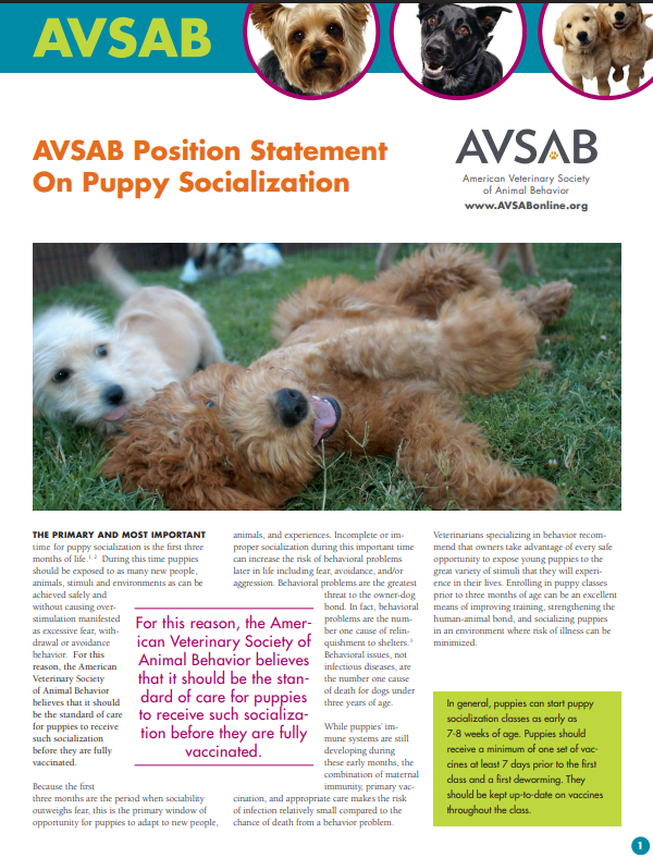 Photo of playful puppies lying on grass with a blurred background, promoting puppy socialization.