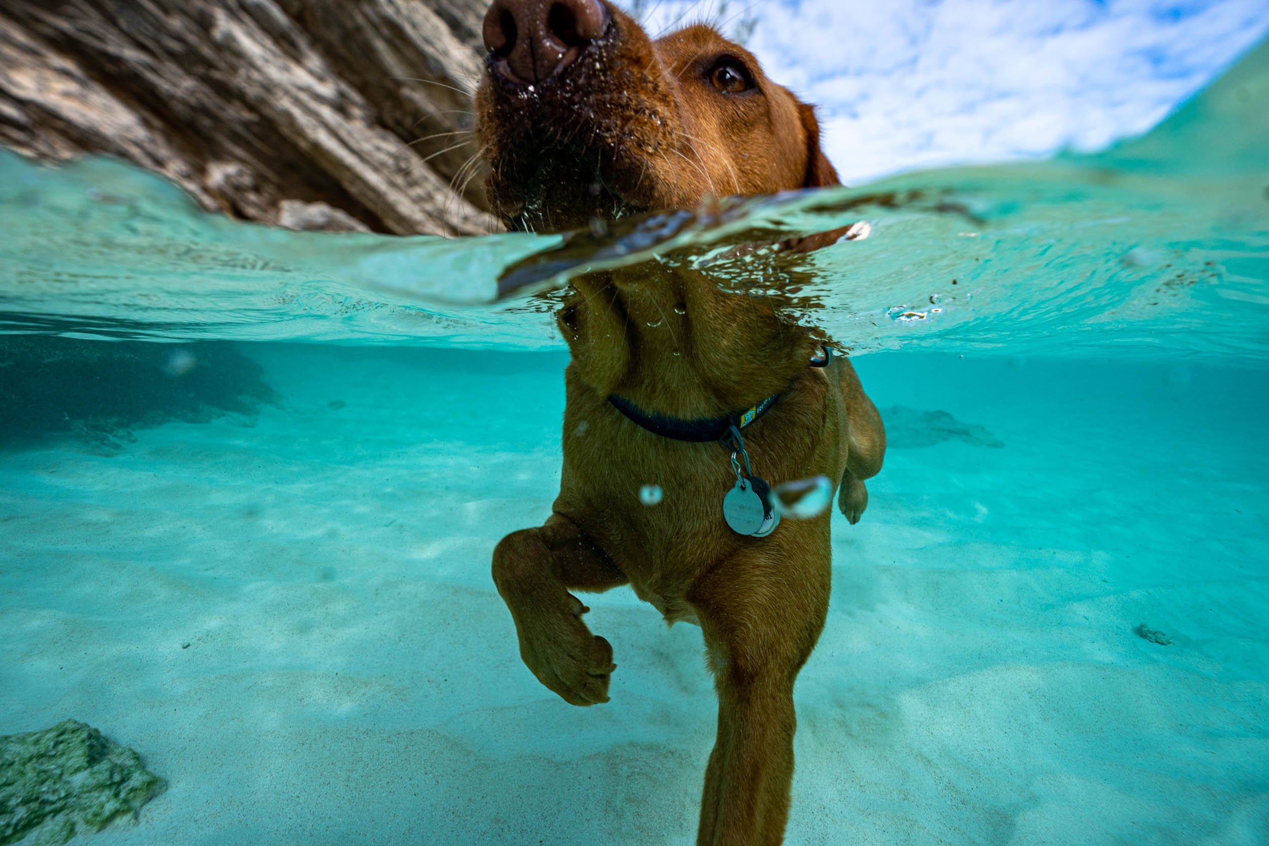 Infinite Focus - Web - 202211301408-2.jpg