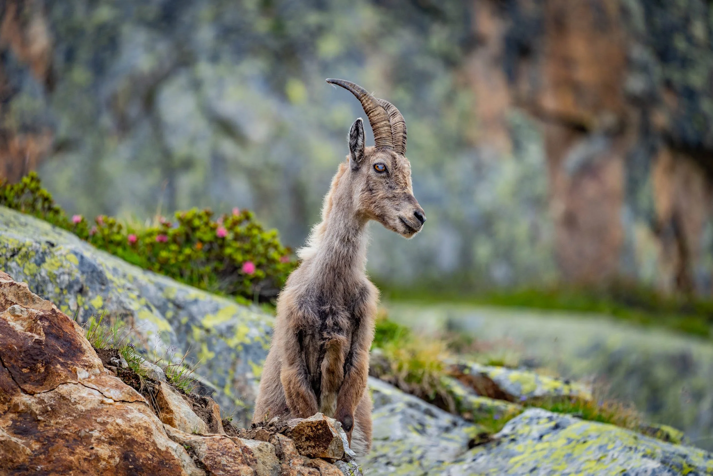 Infinite Focus - Web - 201807091422.jpg