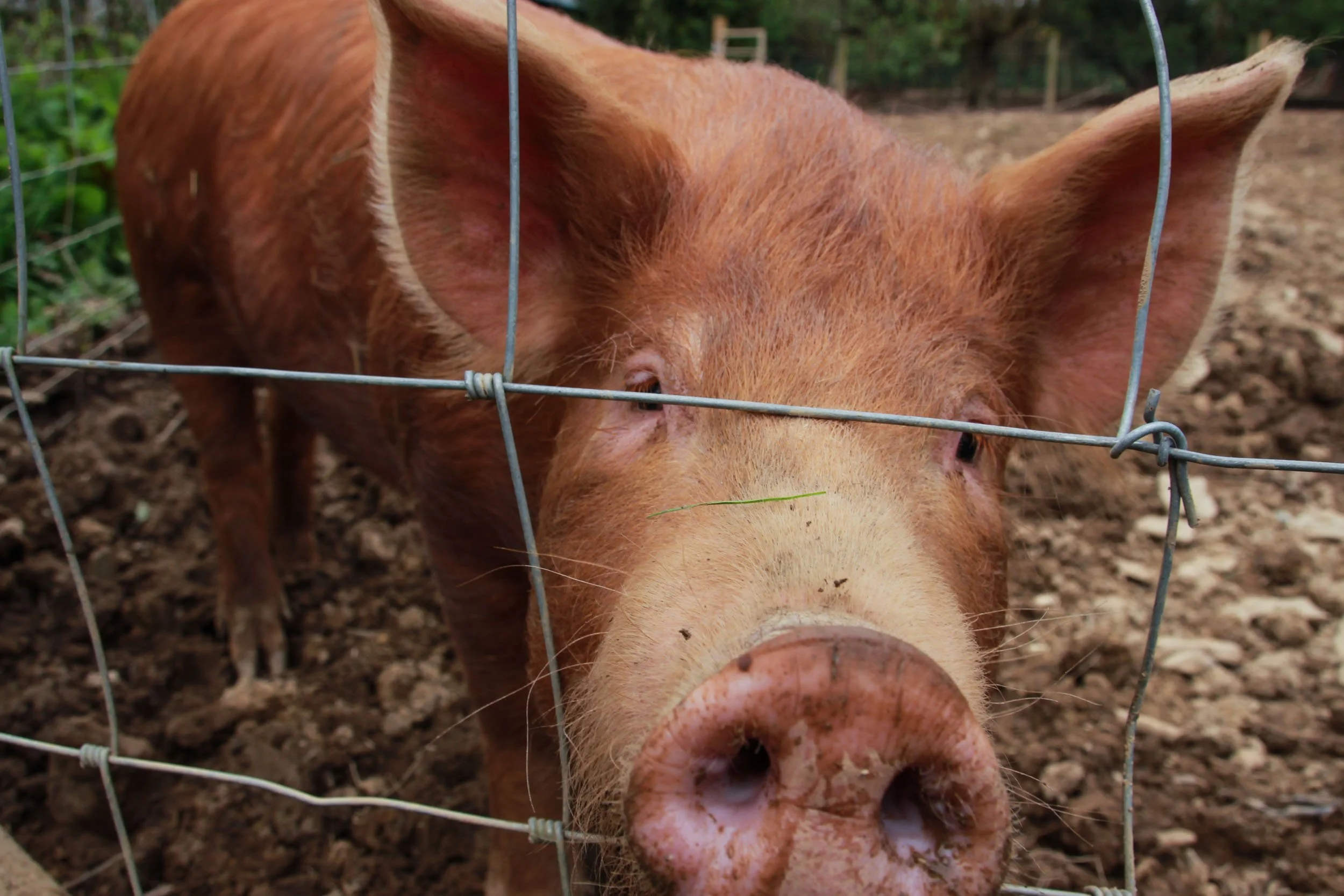 Infinite Focus - Web - 201704091238.jpg