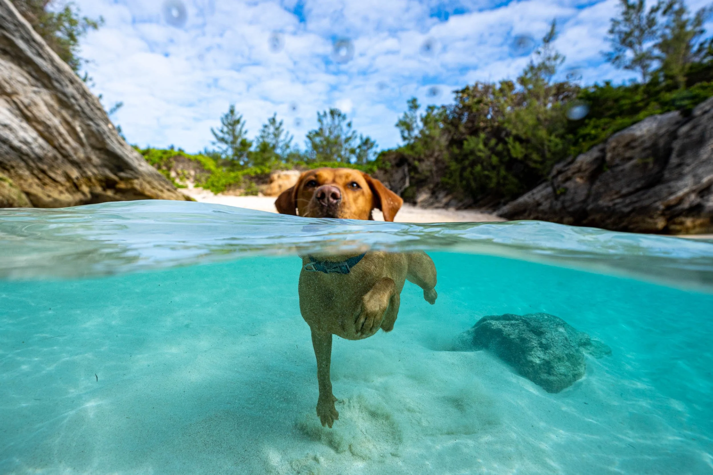 Infinite Focus - Web - 202211301408.jpg