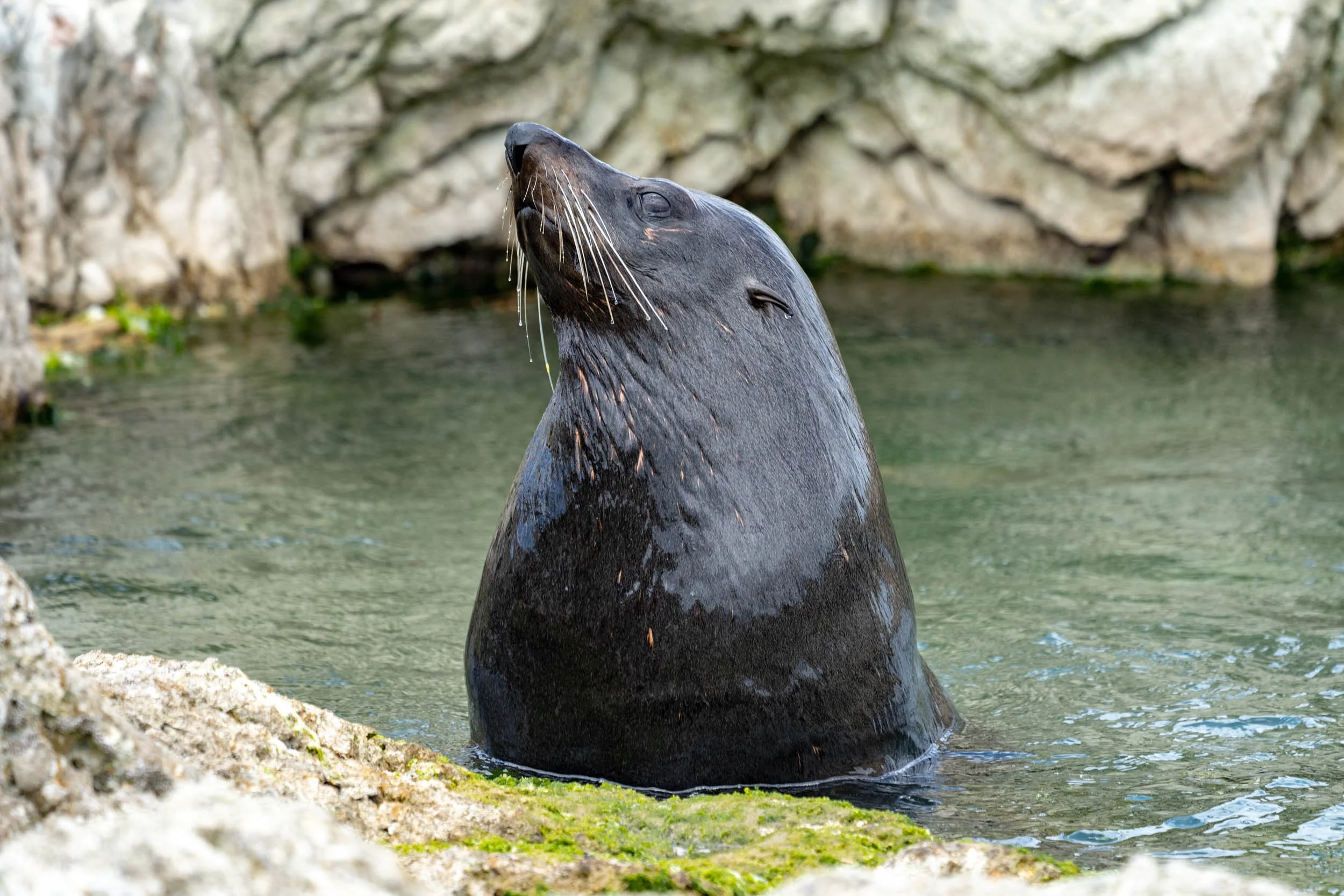 Infinite Focus - Web - 201812061231.jpg