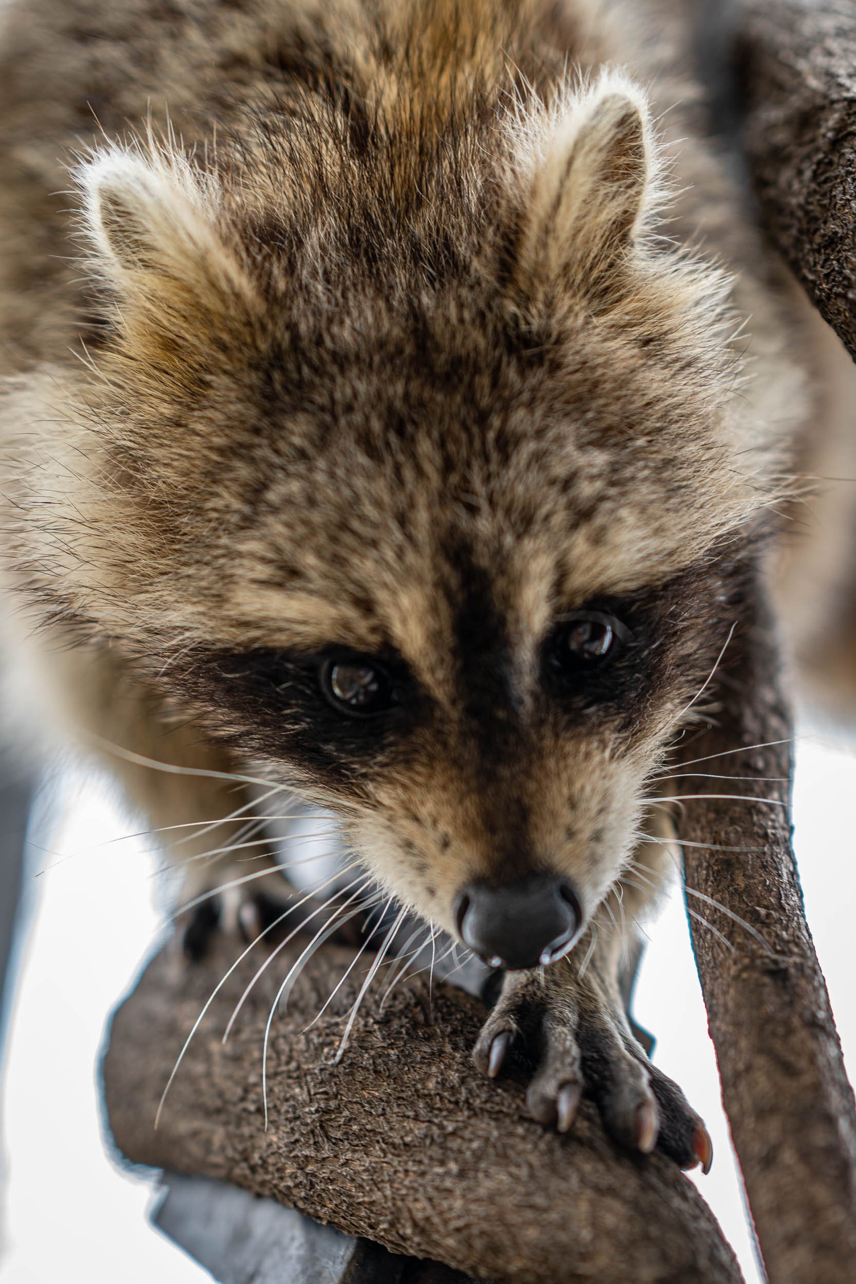 Infinite Focus - Web - 201904091114.jpg