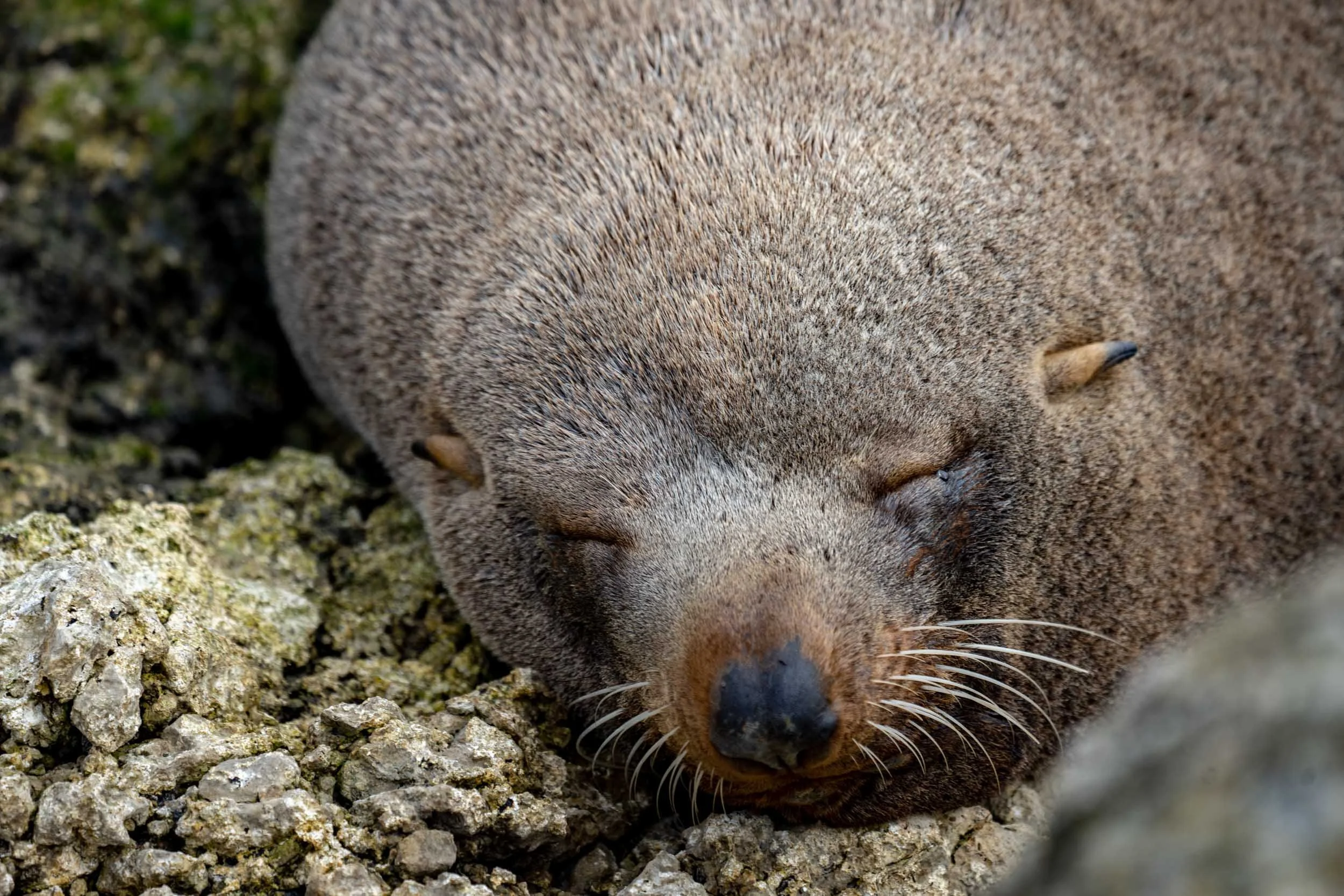 Infinite Focus - Web - 201812061232.jpg