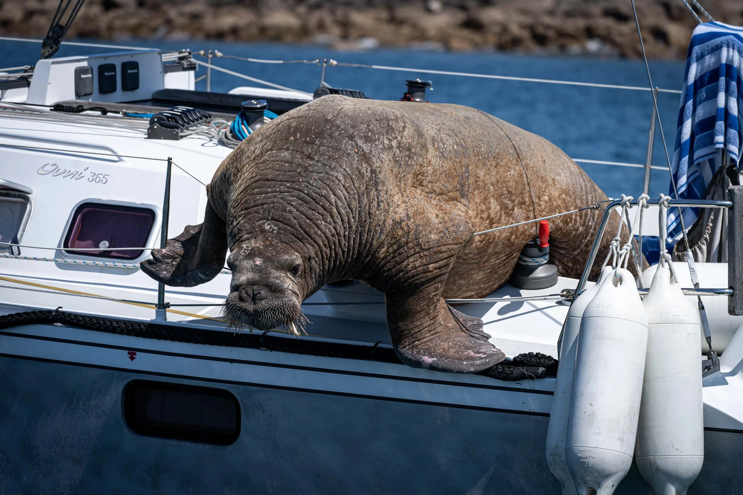 Infinite Focus - Web - 202106301058.jpg