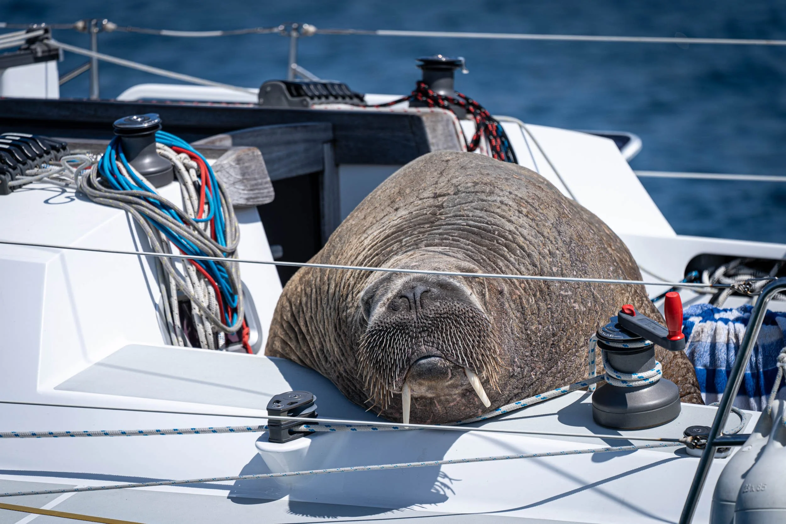 Infinite Focus - Web - 202106301055.jpg