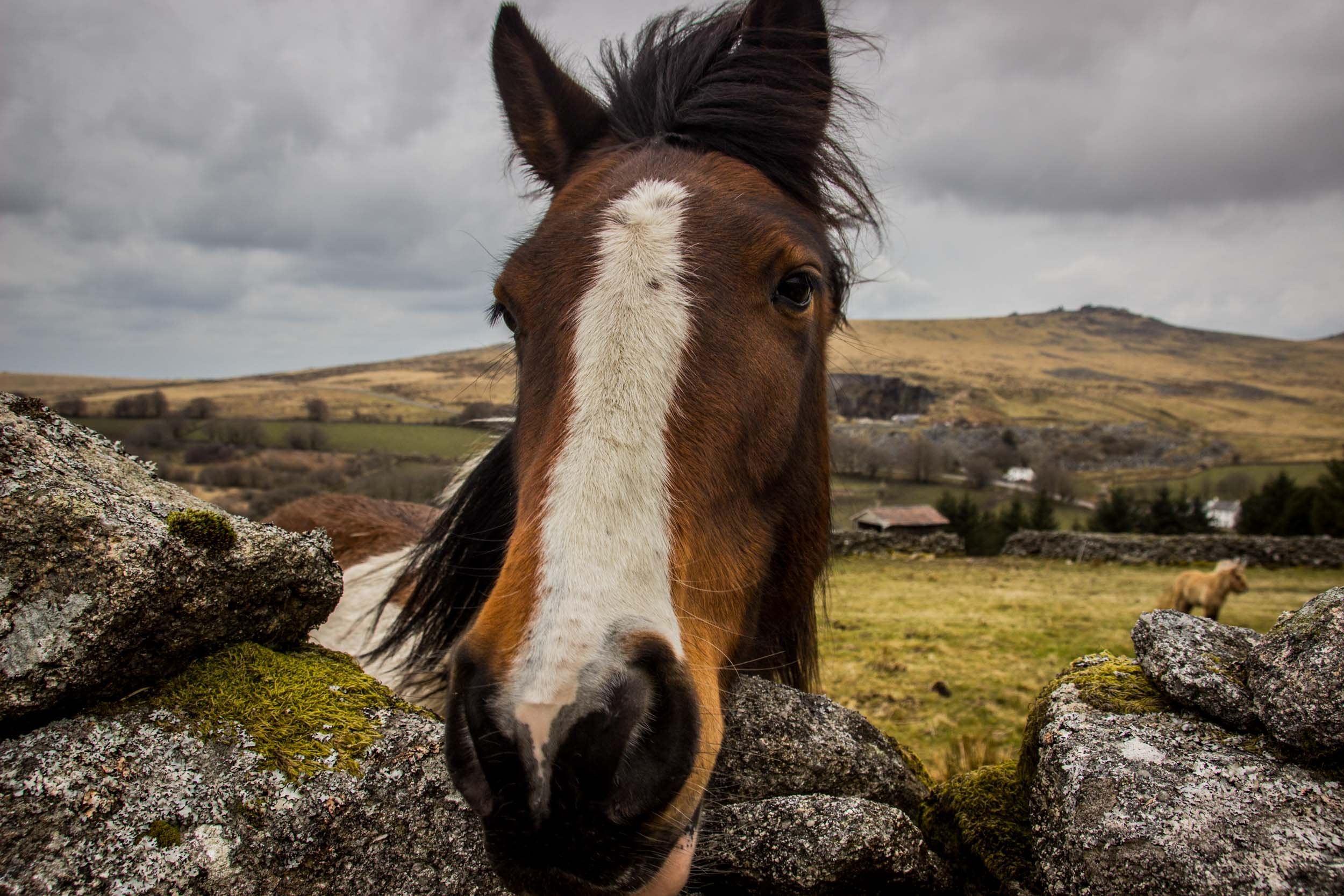 Infinite Focus - Web - 201804011404.jpg