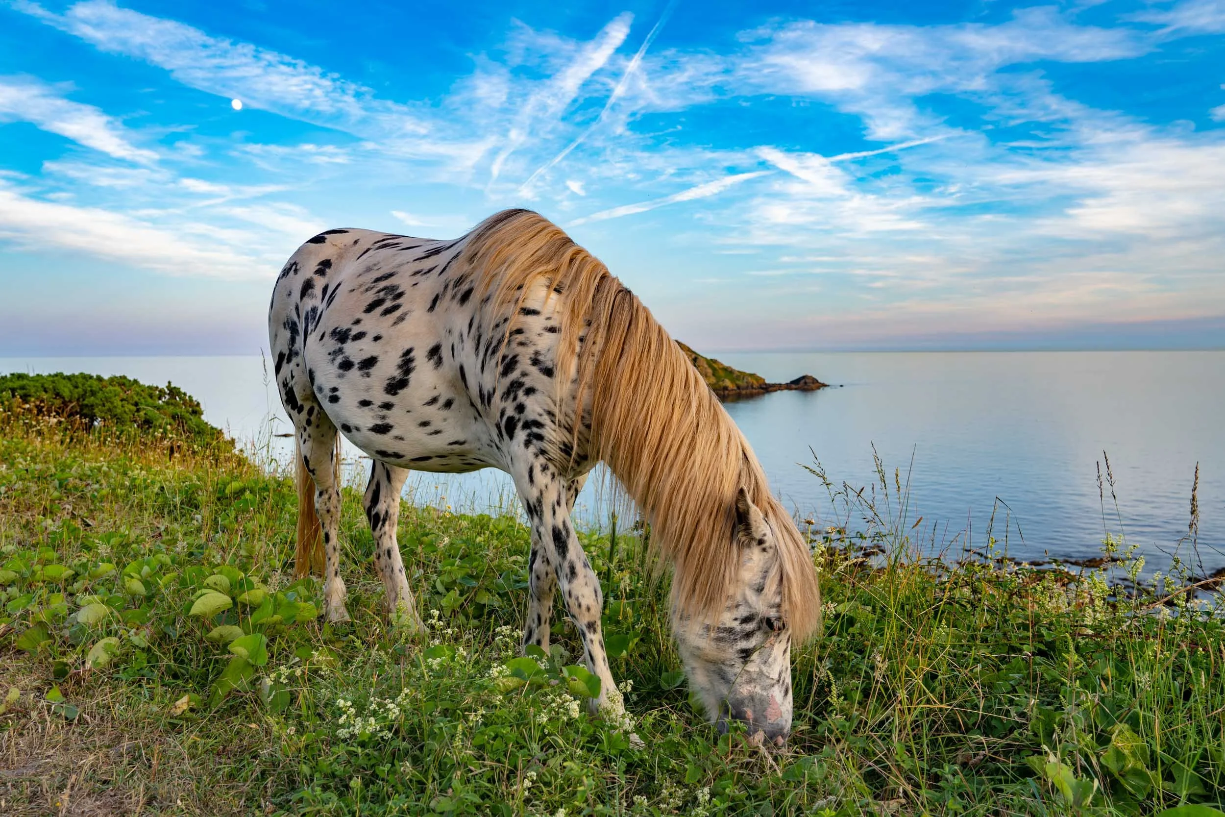 Infinite Focus - Web - 201806252101.jpg