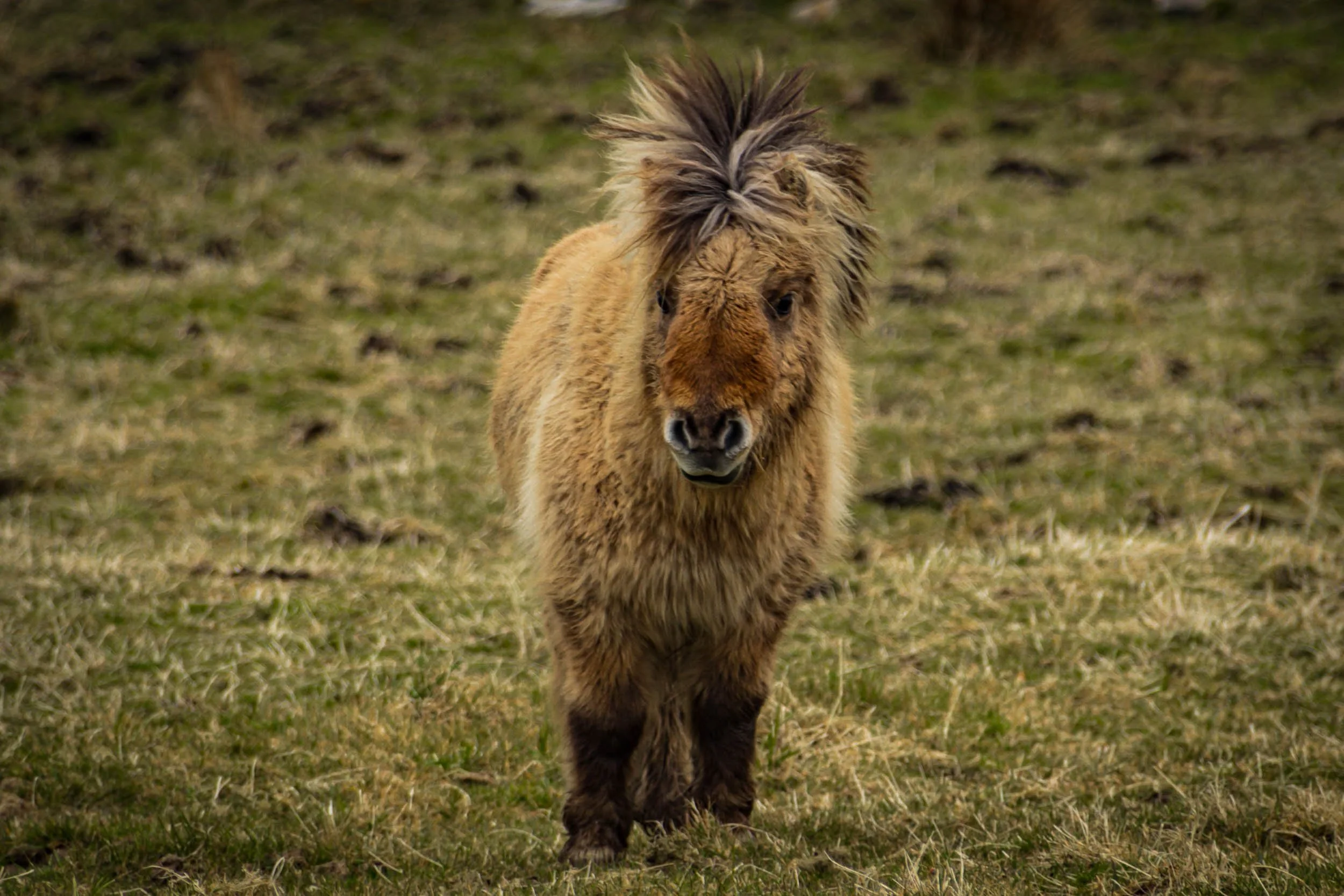 Infinite Focus - Web - 201804011403.jpg