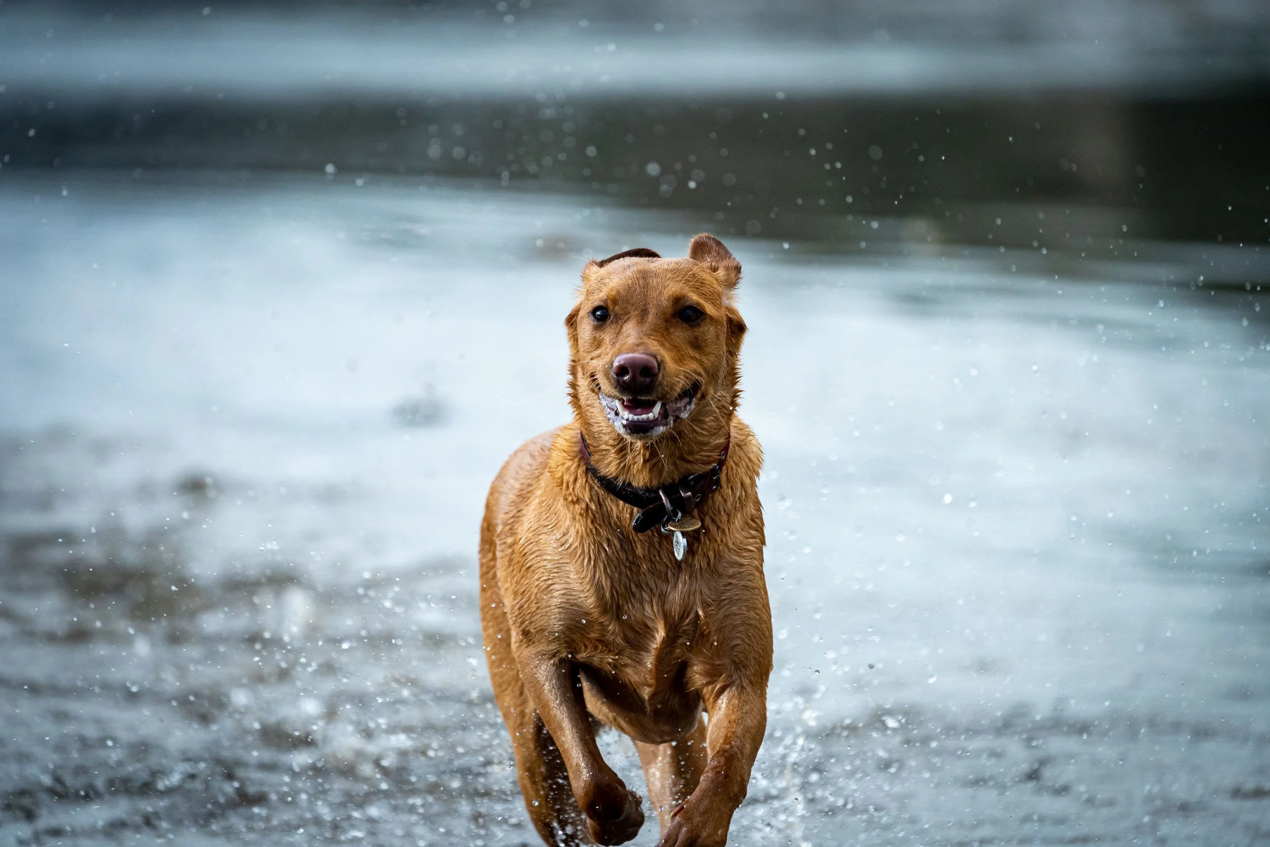 Infinite Focus - Web - 202012291116.jpg