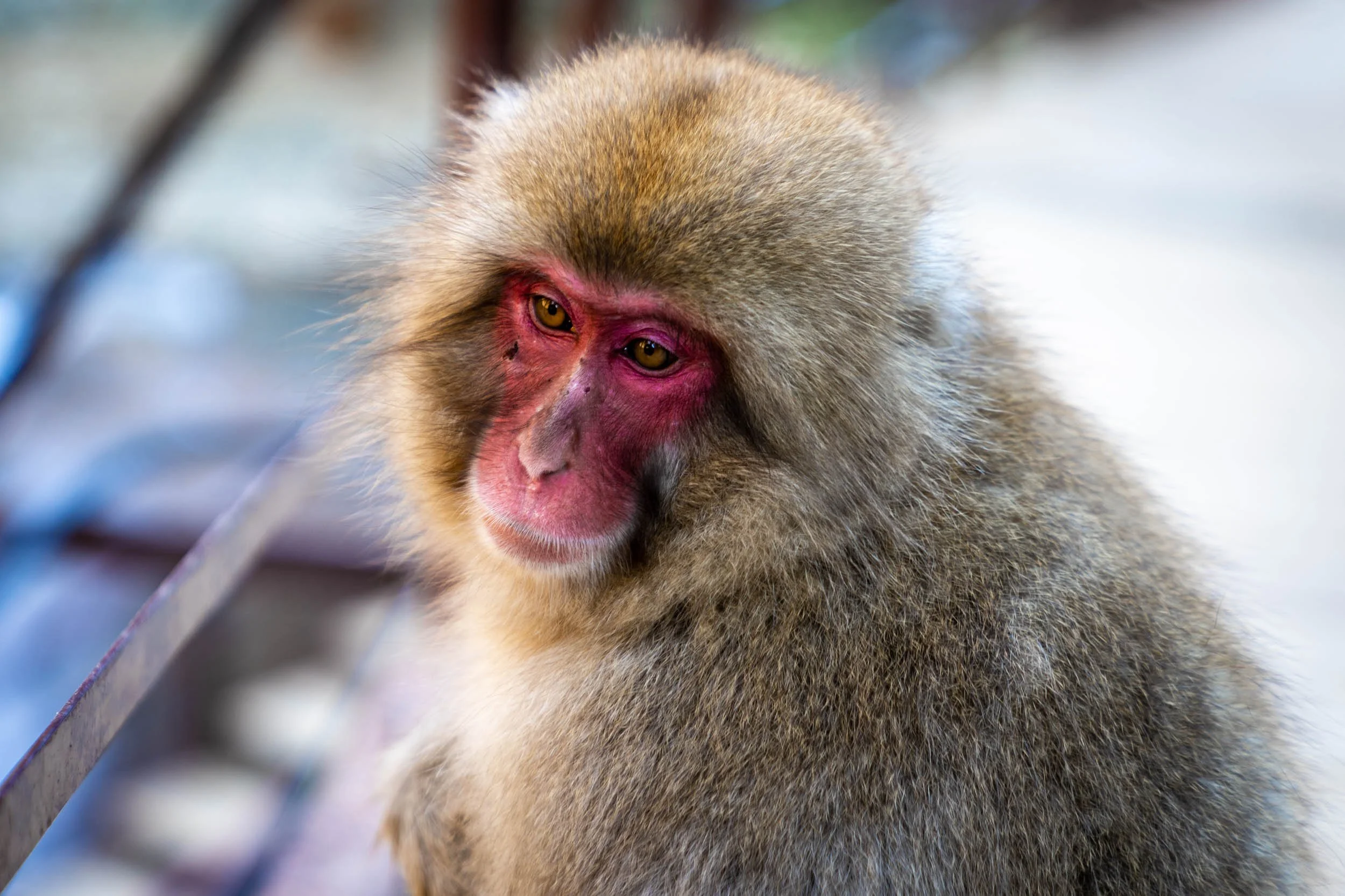 Infinite Focus - Web - 201811211145.jpg