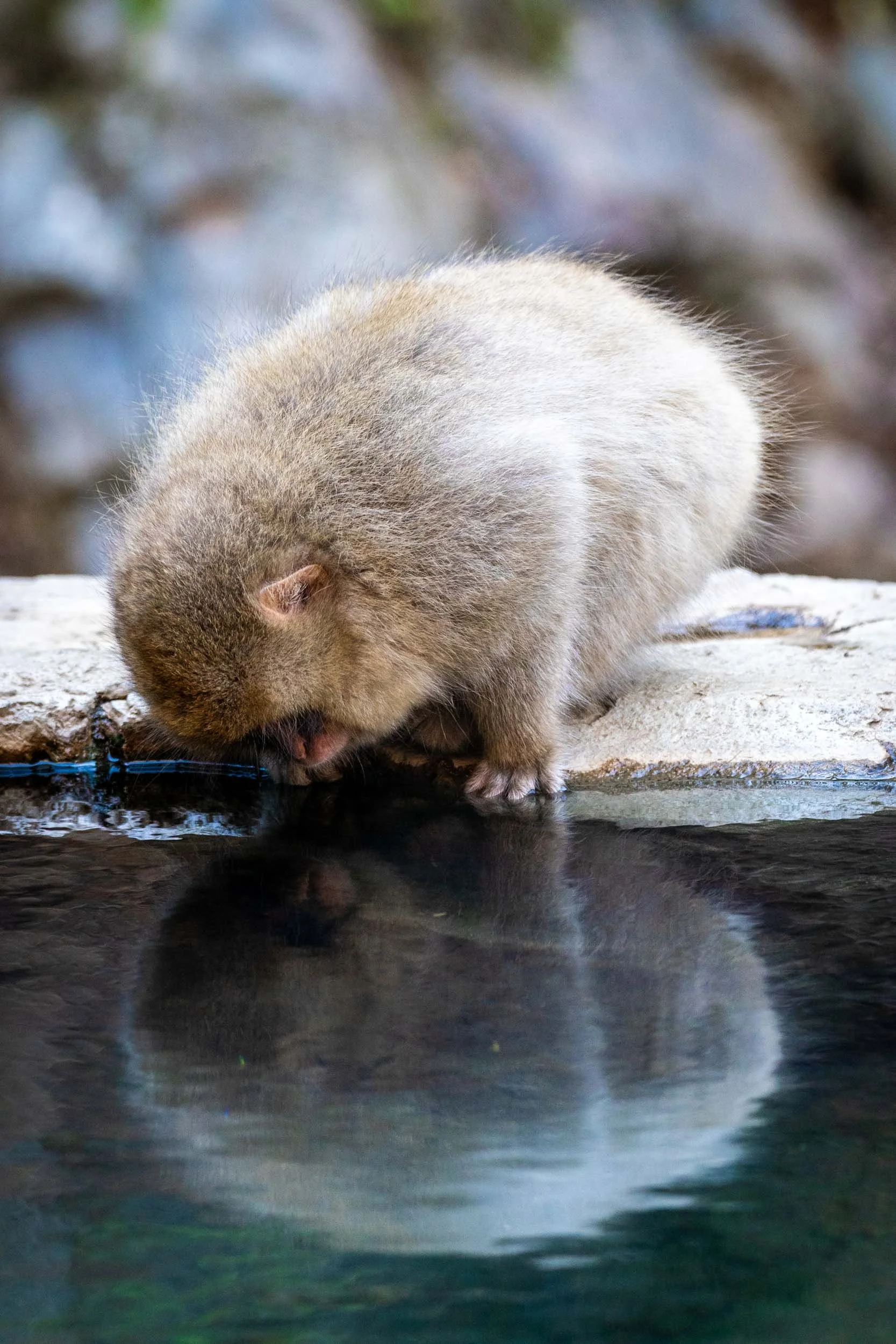 Infinite Focus - Web - 201811211150-2.jpg