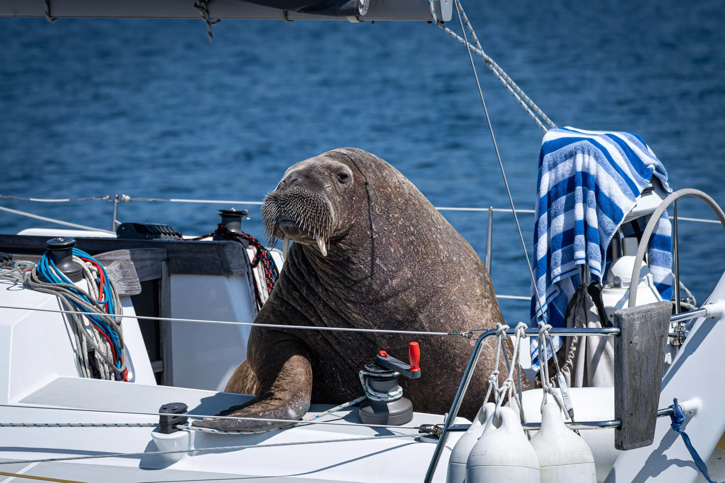 Infinite Focus - Web - 202106301057.jpg