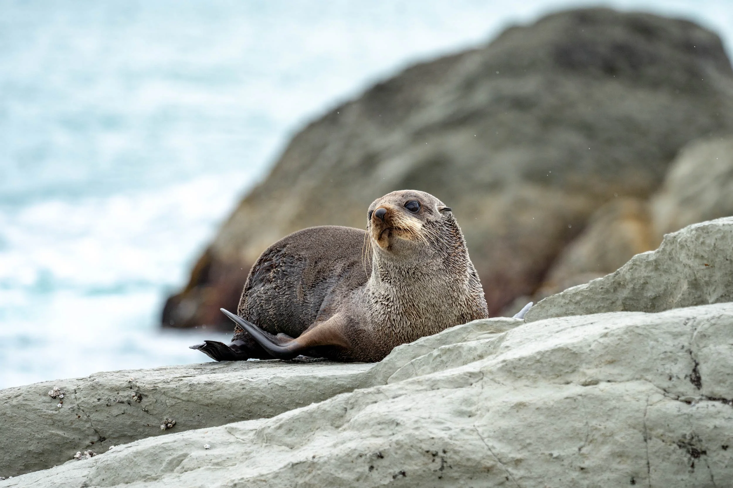 Infinite Focus - Web - 201812061245.jpg