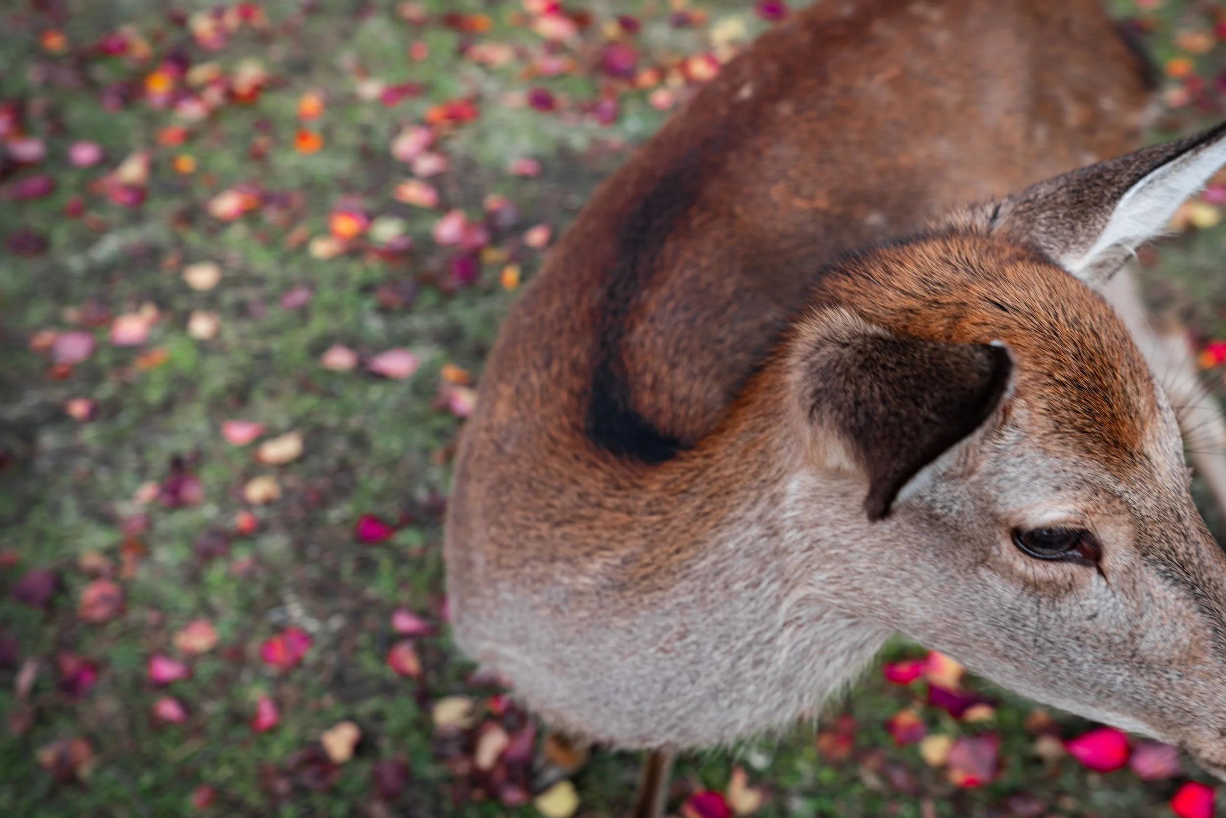 Infinite Focus - Web - 201811101200.jpg