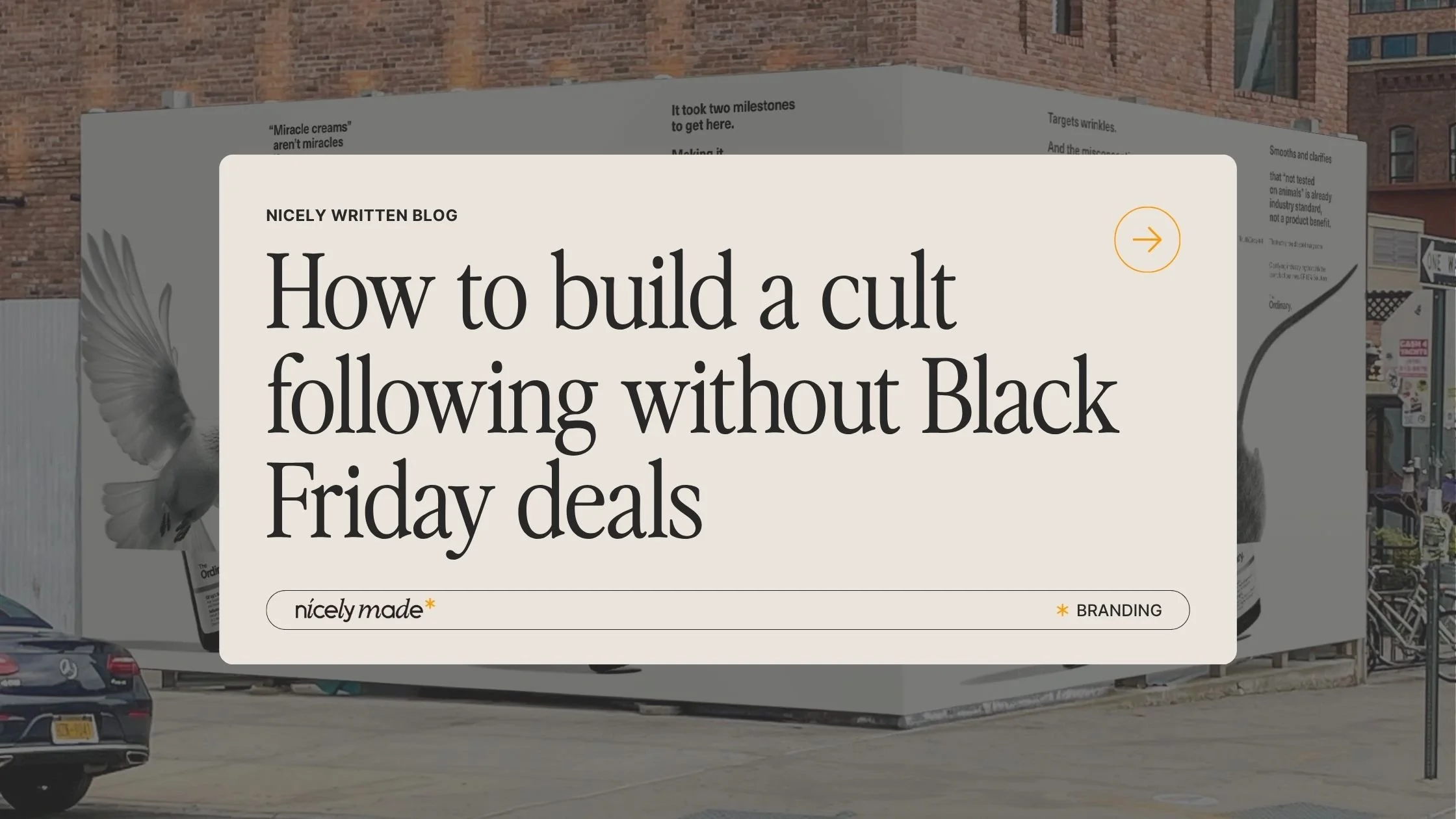 How to build a cult following without Black Friday deals