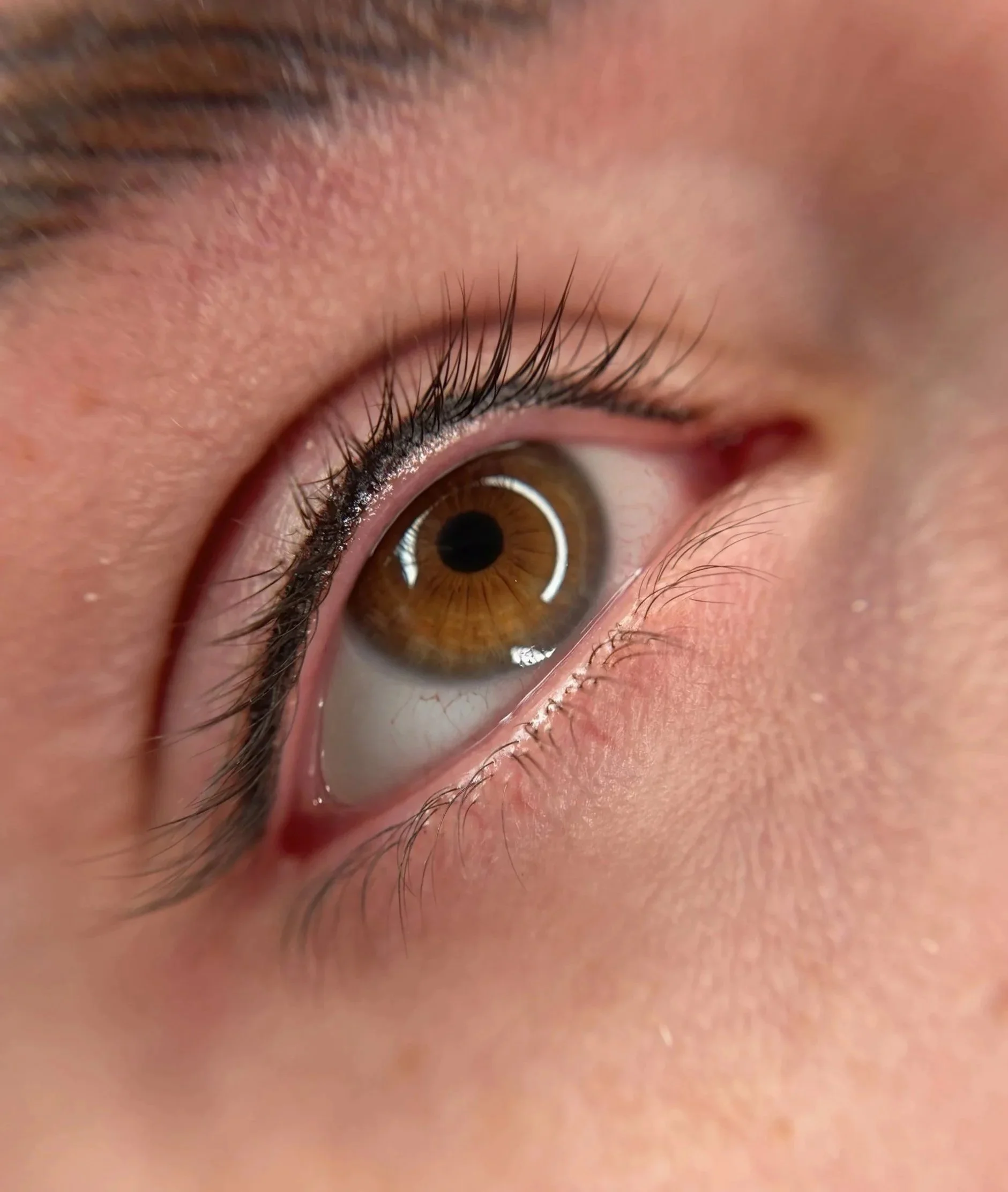 Permanent Eyeliner Dark Brown, Lashline enhancement only