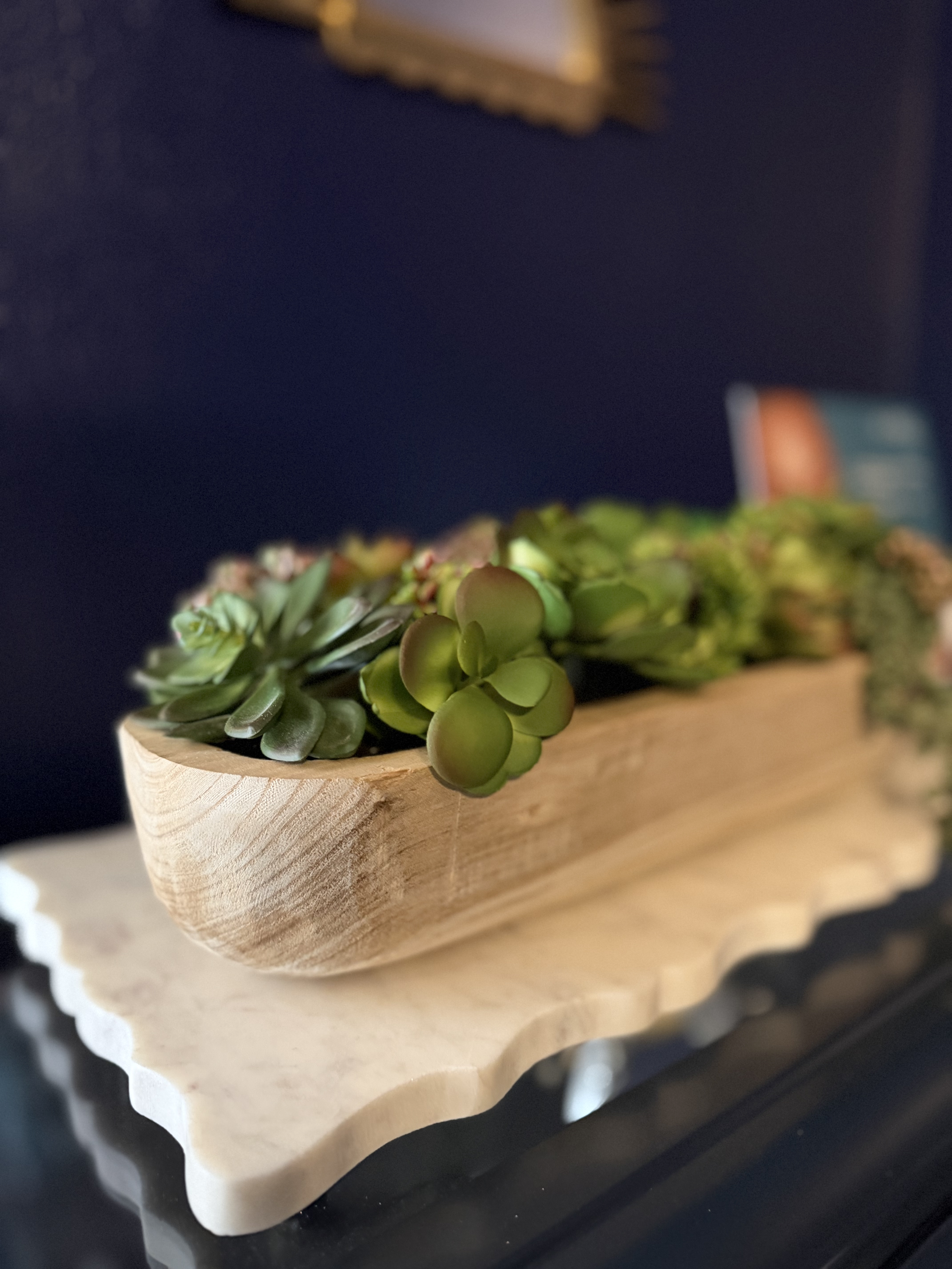 Cactus Planter