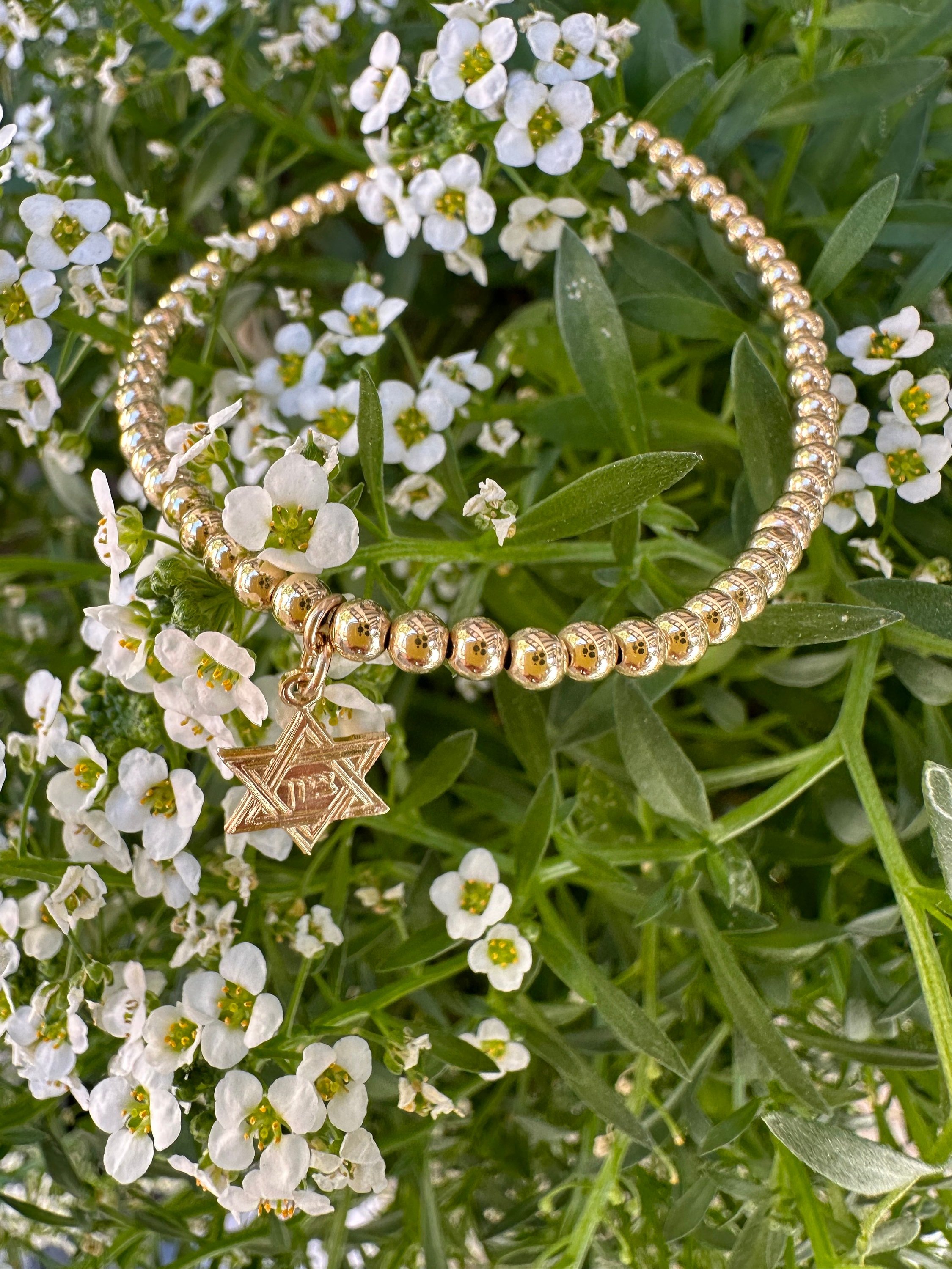 https://i.etsystatic.com/7896745/r/il/b444ad/5561670200/il_fullxfull.5561670200_m19v.jpg