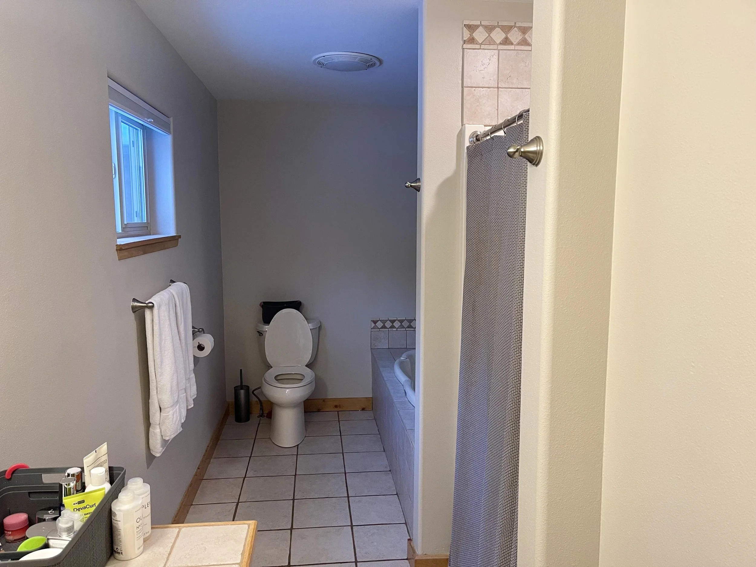 full bathroom before.jpeg