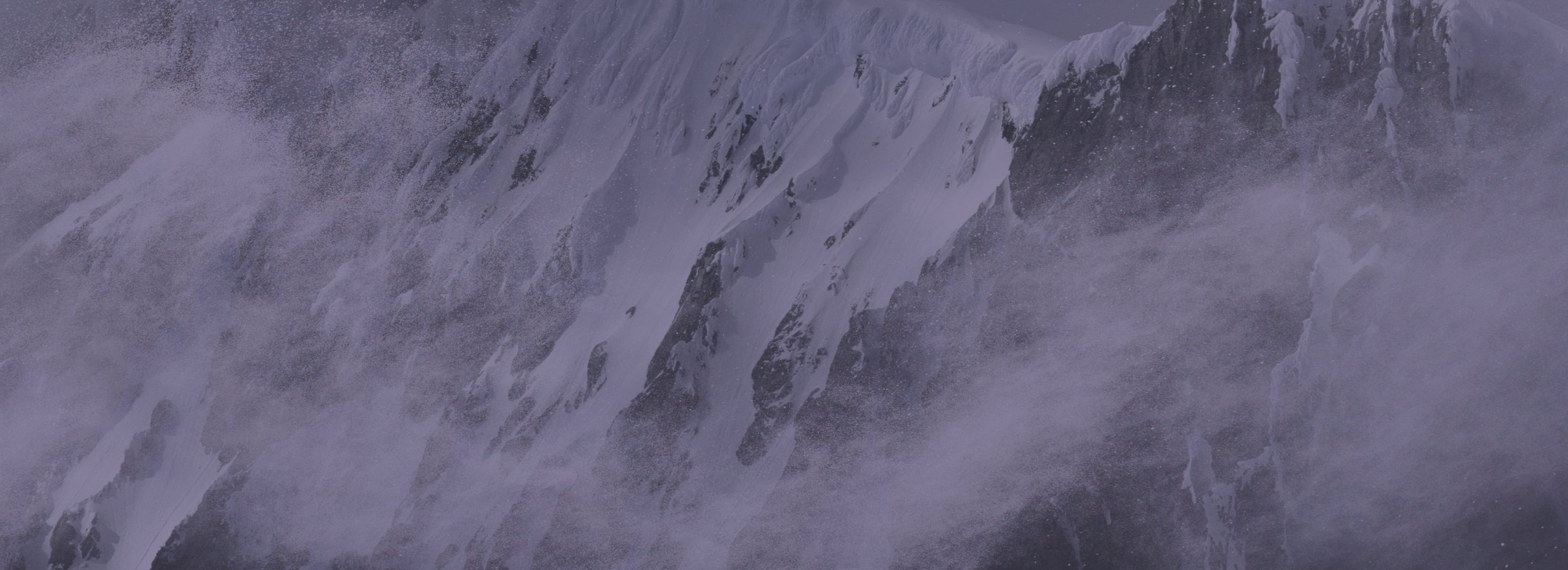 Background2.jpg