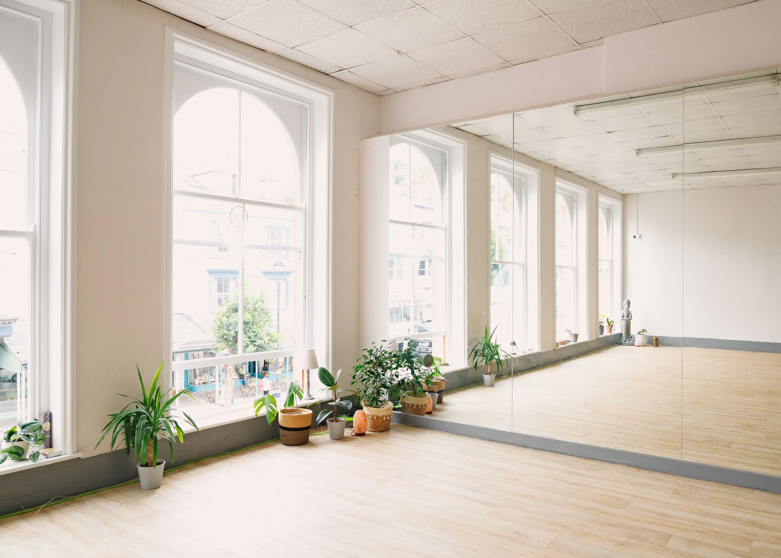 Spacious dance or yoga studio with large arched windows, light wooden floors, and several potted plants along the window sill. There is a large mirror on one wall and a white wall with a small statue near the corner.
