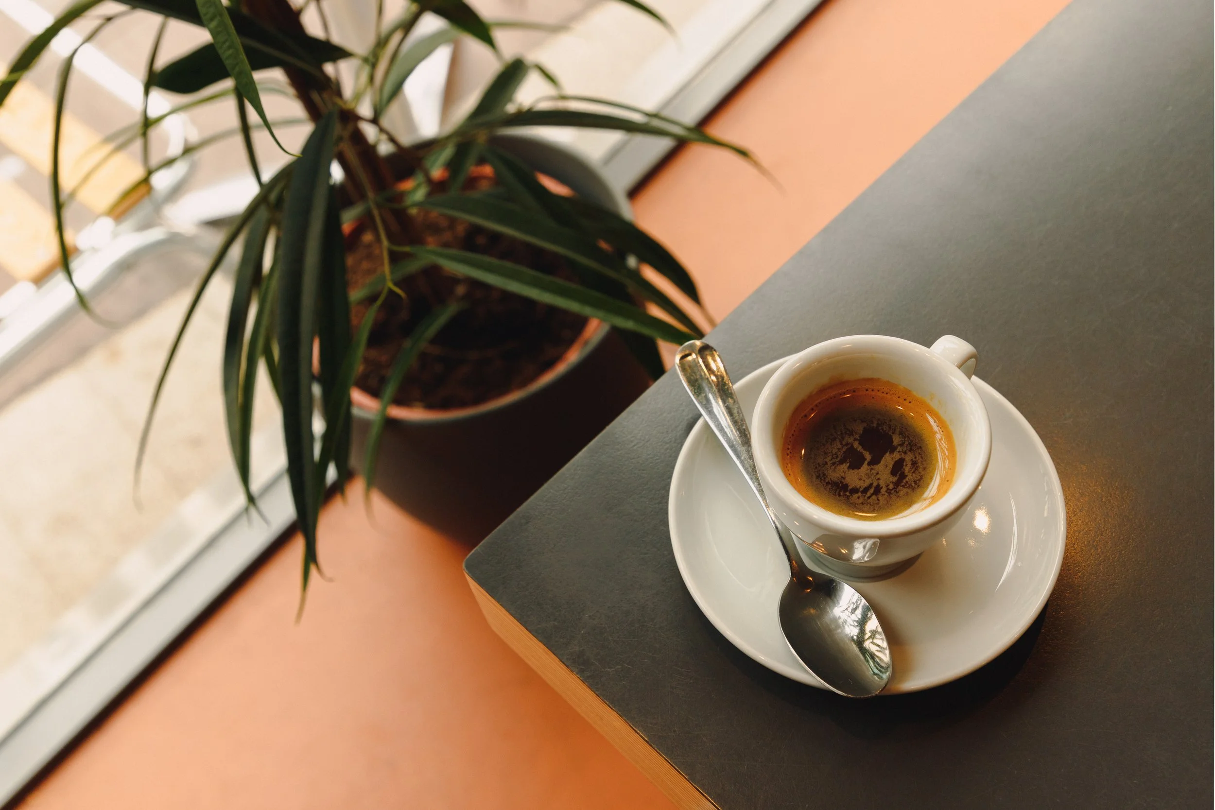 A cup of espresso on a white saucer with a silver spoon, placed on a dark table near a potted plant with long green leaves.