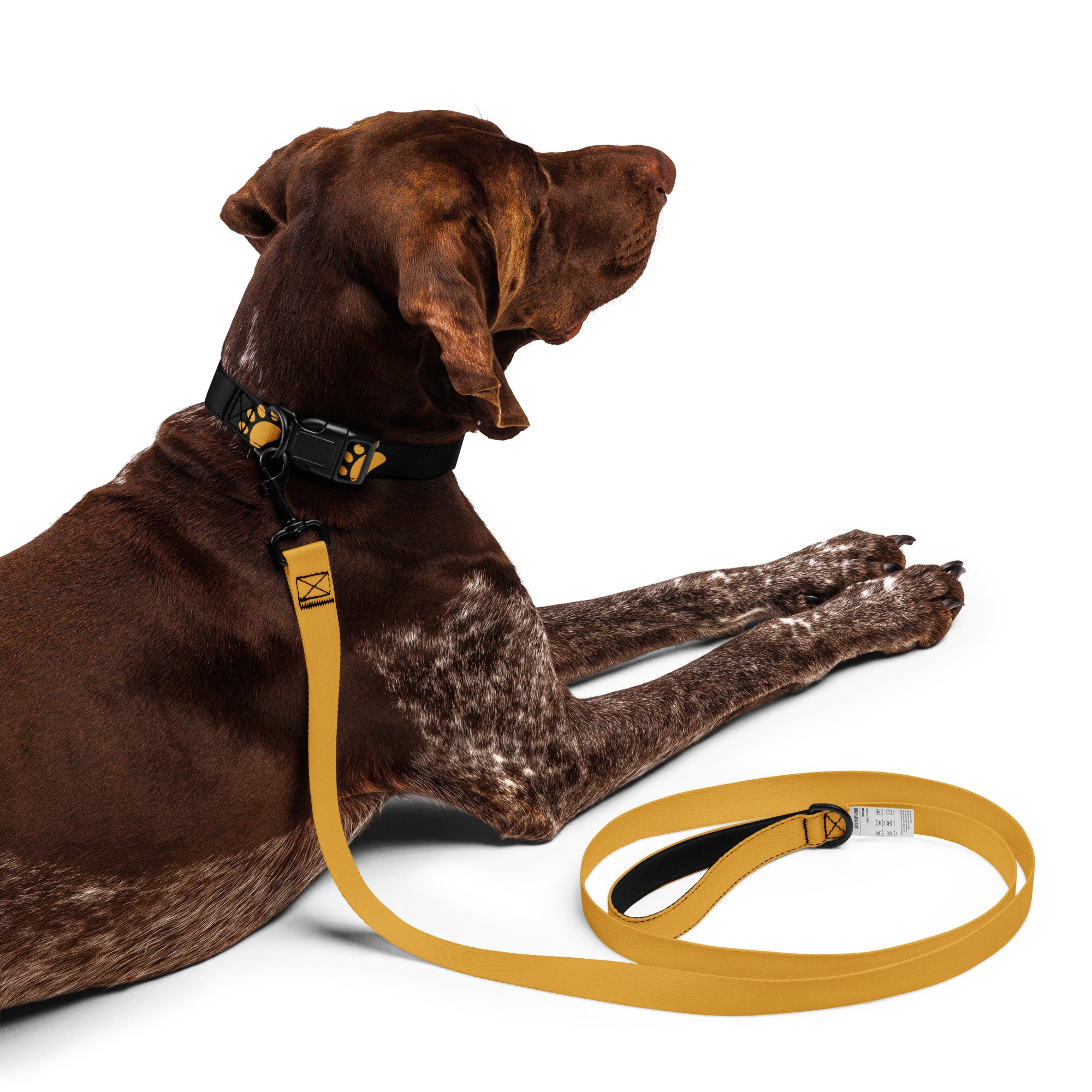 pet-collar--leash-white-l-front-66d614ab3b479.jpg