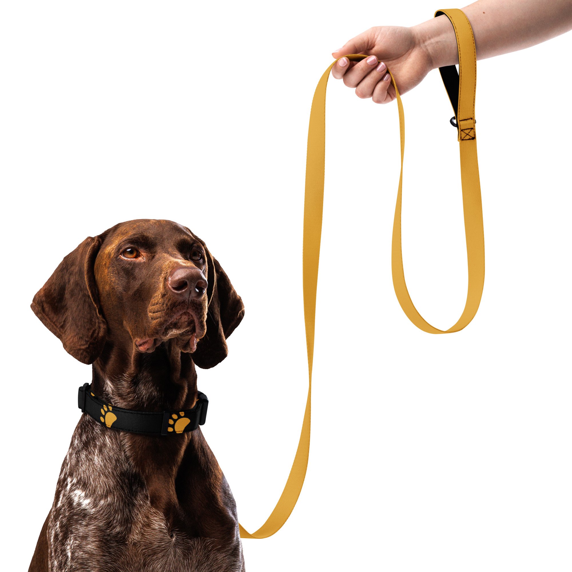 pet-collar--leash-white-l-front-66d614ab3b5fb.jpg