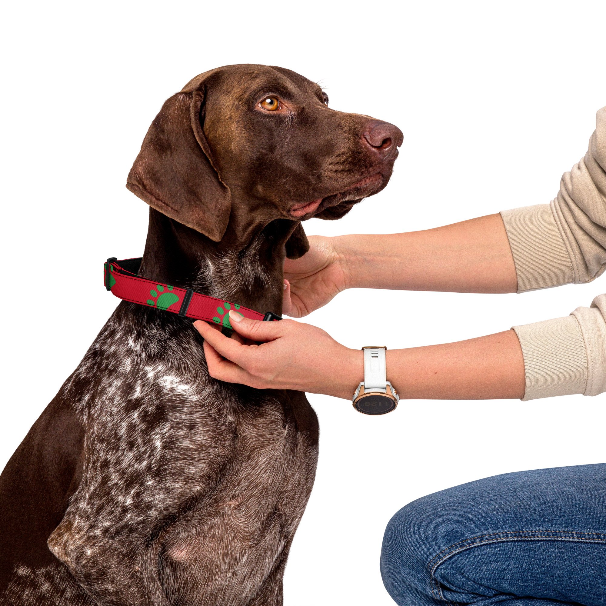 pet-collar-white-l-front-66ef3e2e56305.jpg